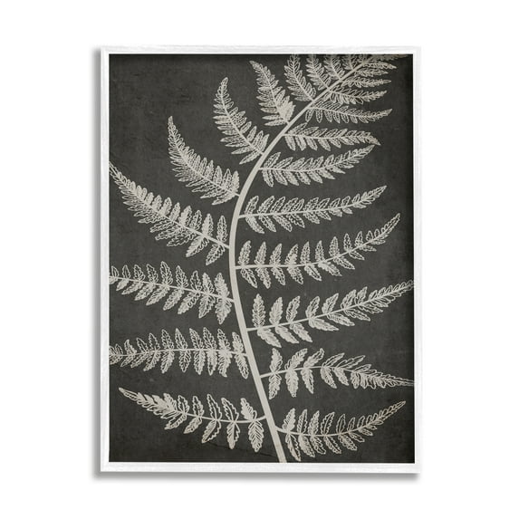 Stupell Industries Woodland Fern Outline Botanical & Floral Painting White Framed Art Print Wall Art, 24 x 30