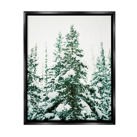 Stupell Industries Woodland Fir with Snow Landscape Photography Black Floater Framed Canvas Art Print Wall Art, 17 x 21