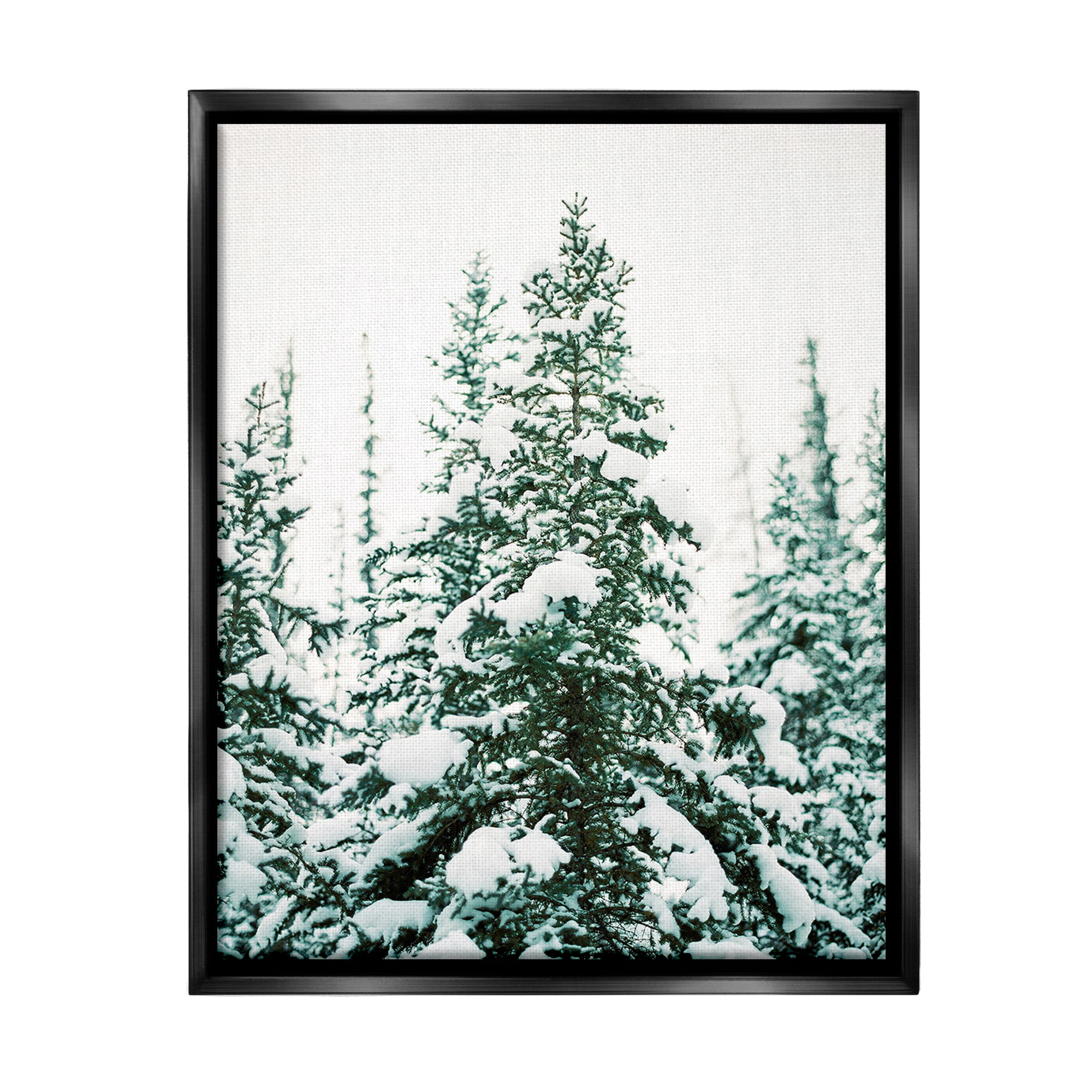 Stupell Industries Woodland Fir with Snow Landscape Photography Black Floater Framed Canvas Art Print Wall Art, 25 x 31