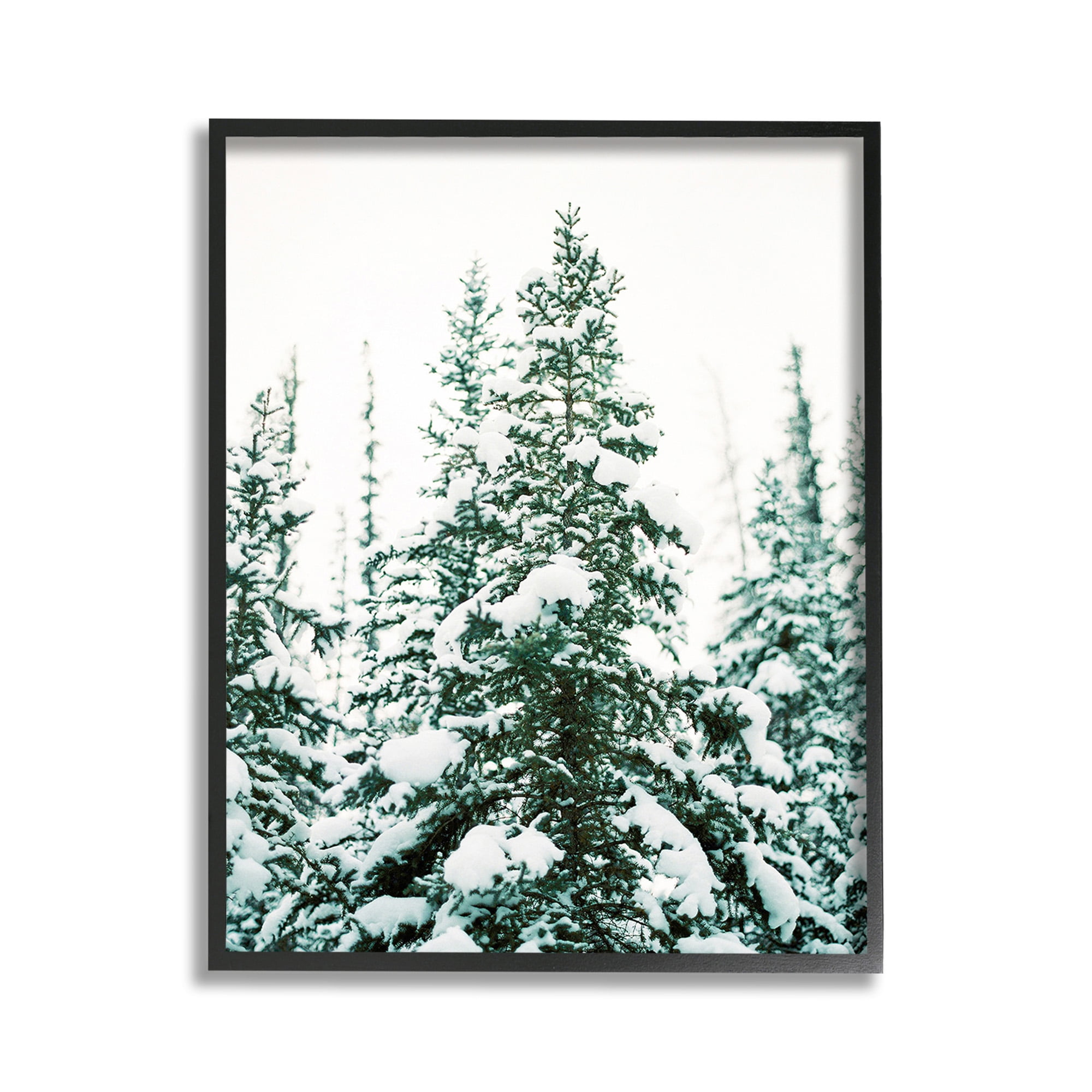 Stupell Industries Woodland Fir with Snow Landscape Photography Black Framed Art Print Wall Art, 11 x 14