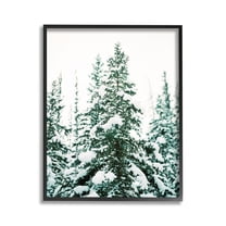 Stupell Industries Woodland Fir with Snow Landscape Photography Black Framed Art Print Wall Art, 11 x 14