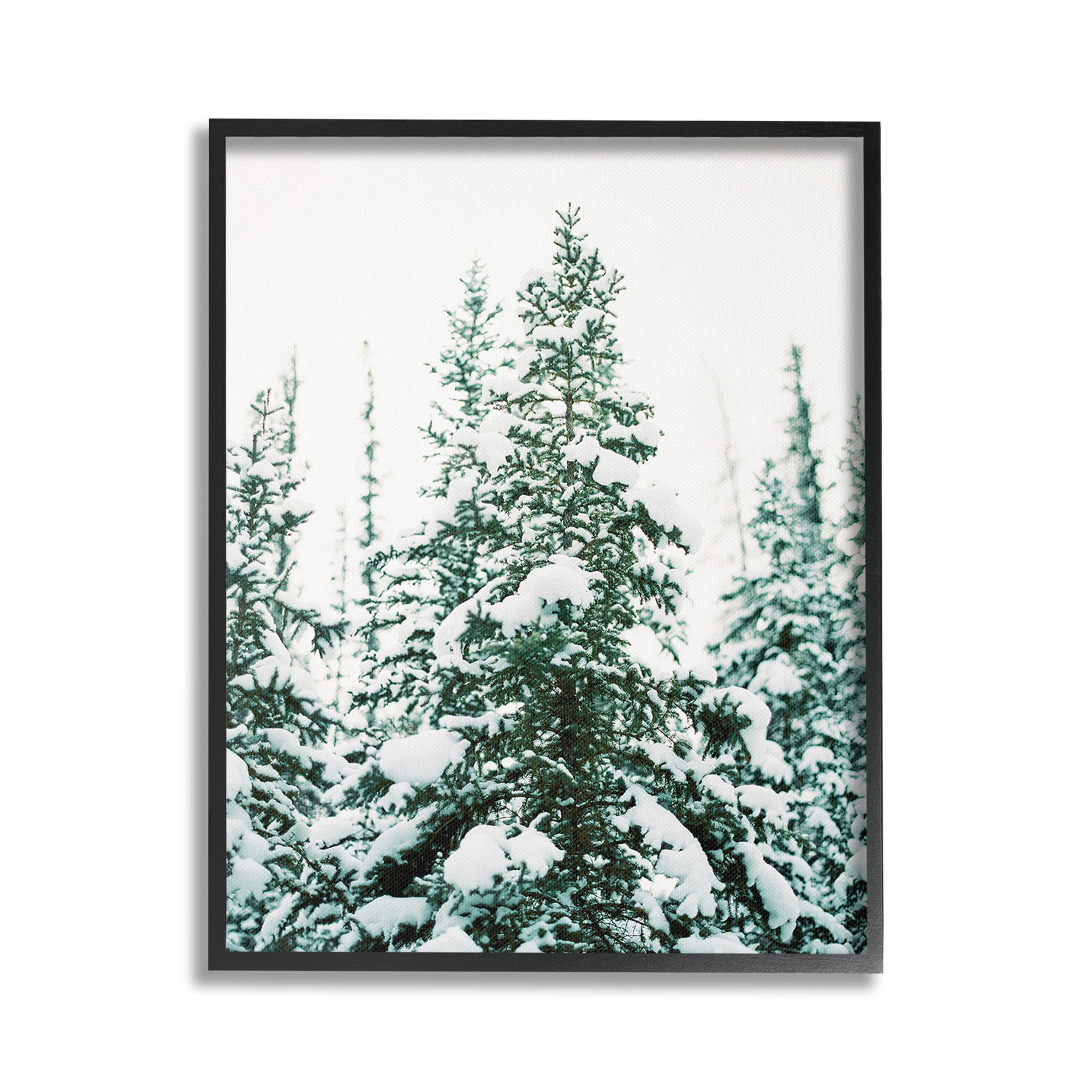 Stupell Industries Woodland Fir with Snow Landscape Photography Black Framed Art Print Wall Art, 16 x 20
