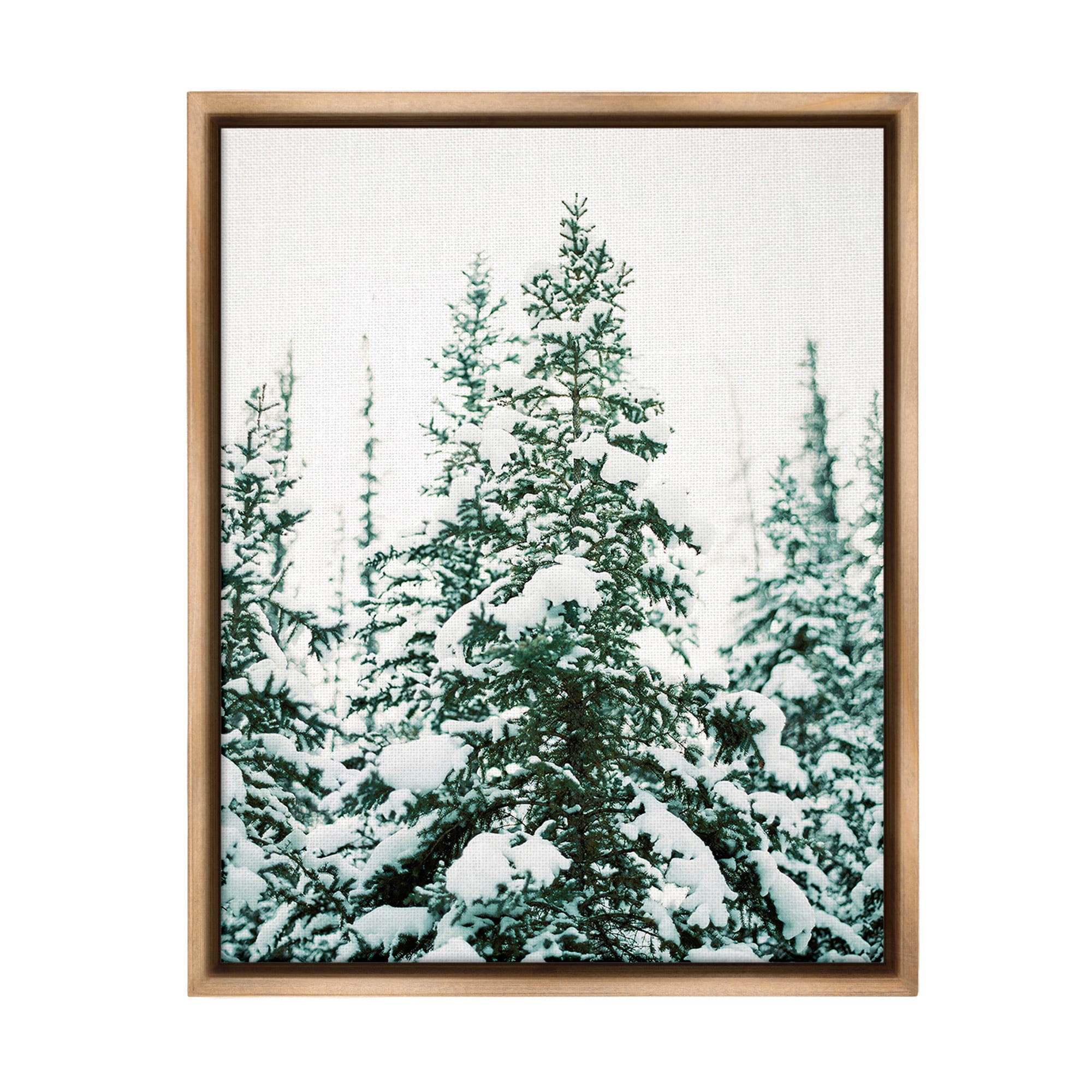 Stupell Industries Woodland Fir with Snow Landscape Photography Brown Floater Framed Canvas Art Print Wall Art, 17 x 21