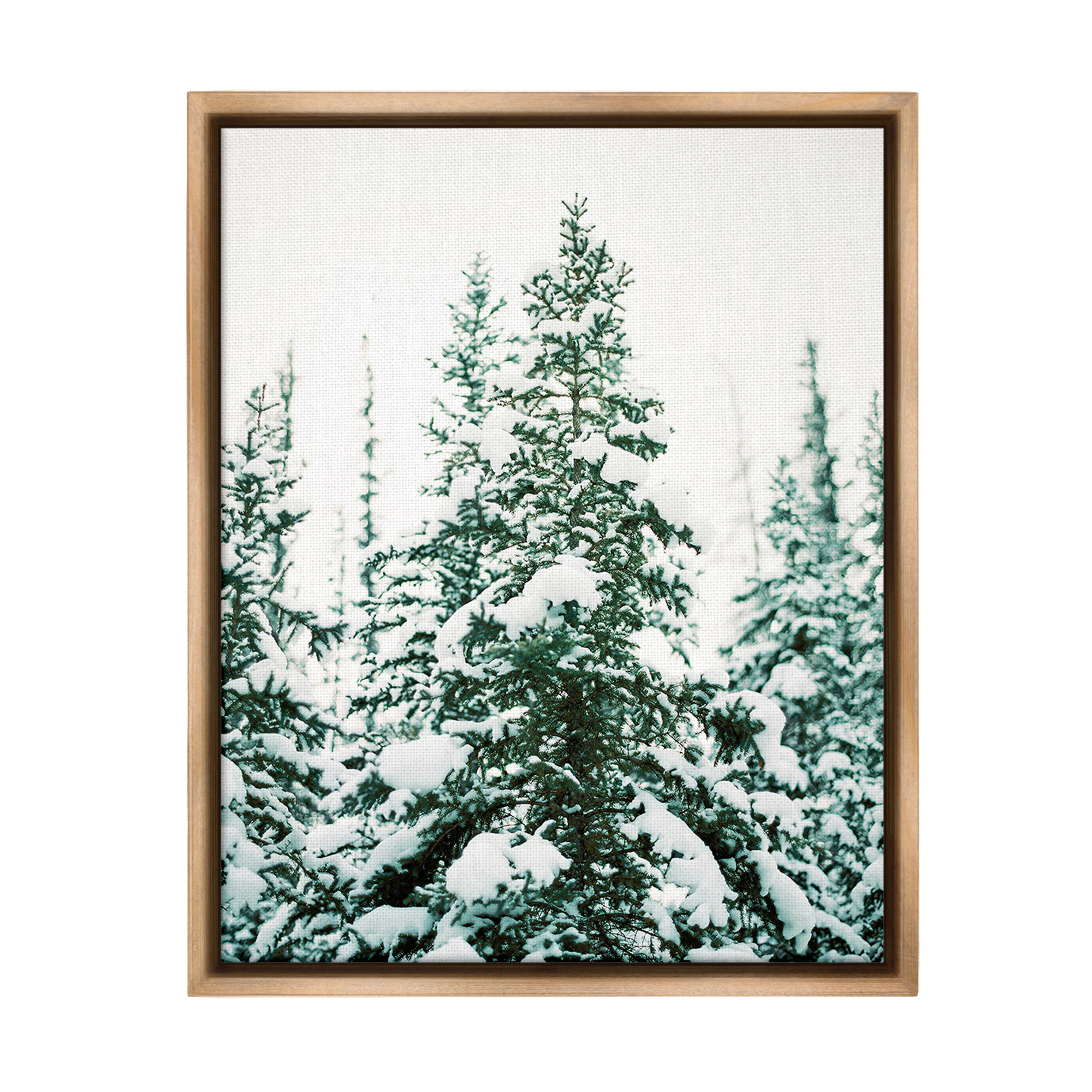 Stupell Industries Woodland Fir with Snow Landscape Photography Brown Floater Framed Canvas Art Print Wall Art, 25 x 31