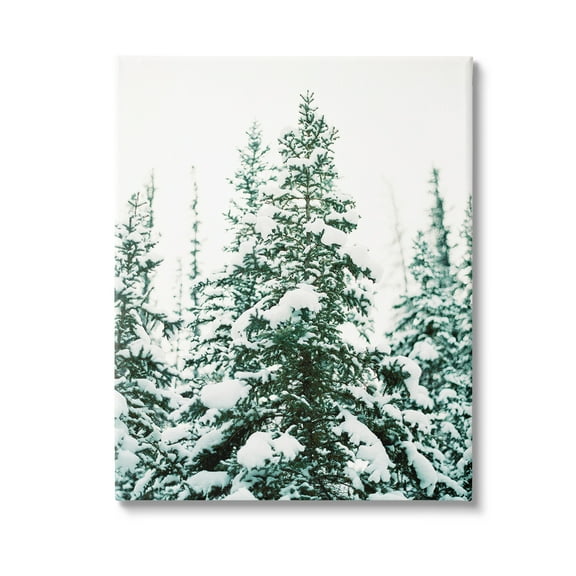 Stupell Industries Woodland Fir with Snow Landscape Photography Gallery Wrapped Canvas Art Print Wall Art, 16 x 20