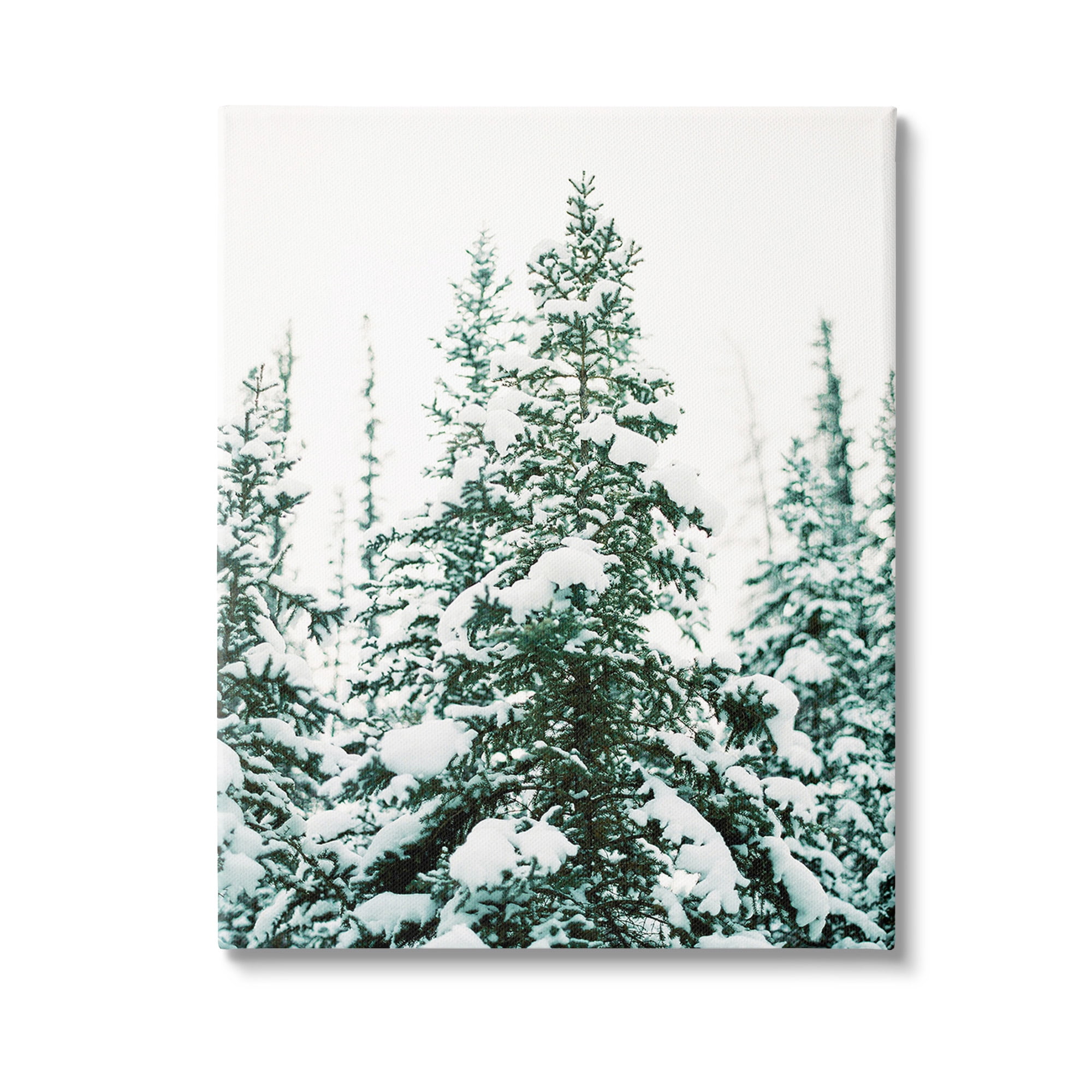 Stupell Industries Woodland Fir with Snow Landscape Photography Gallery Wrapped Canvas Art Print Wall Art, 24 x 30
