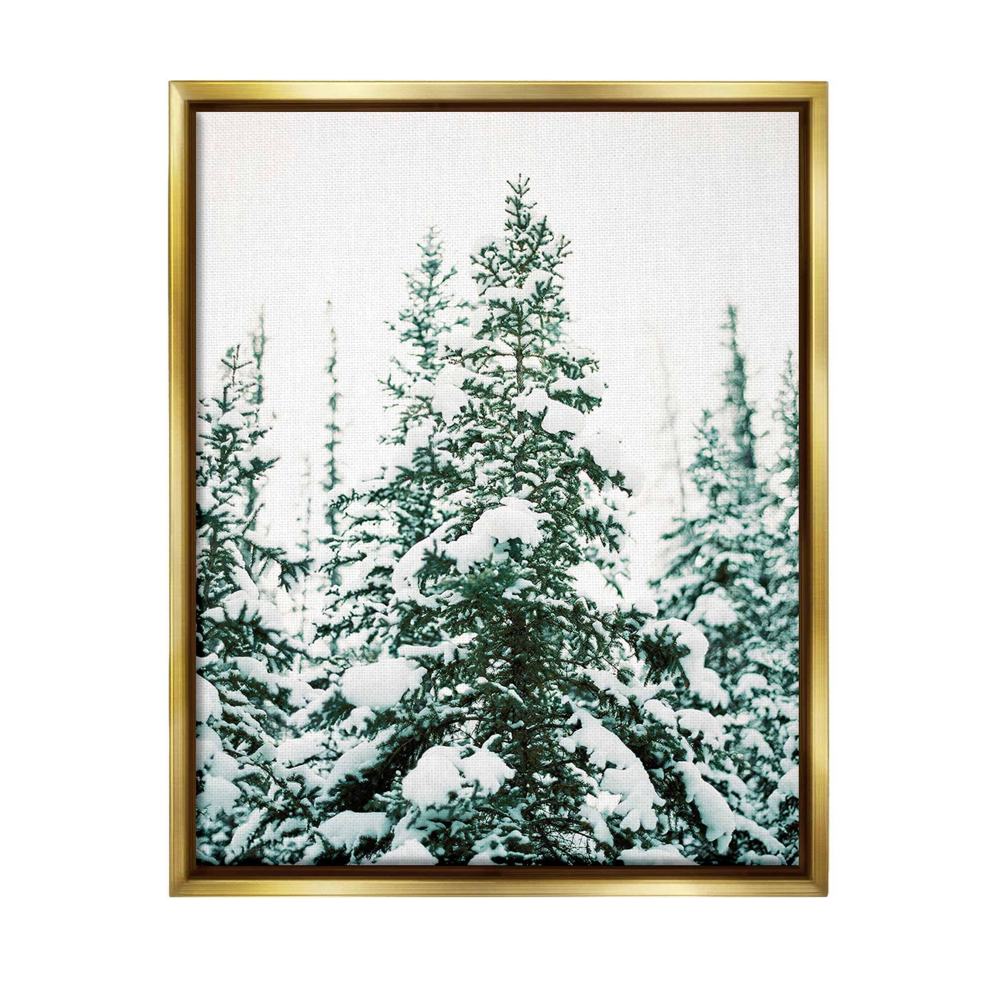 Stupell Industries Woodland Fir with Snow Landscape Photography Gold Floater Framed Canvas Art Print Wall Art, 25 x 31