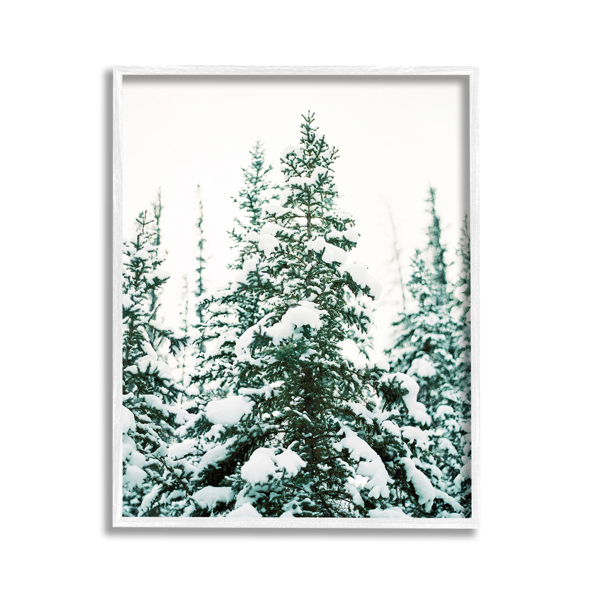Stupell Industries Woodland Fir with Snow Landscape Photography White Framed Art Print Wall Art, 11 x 14
