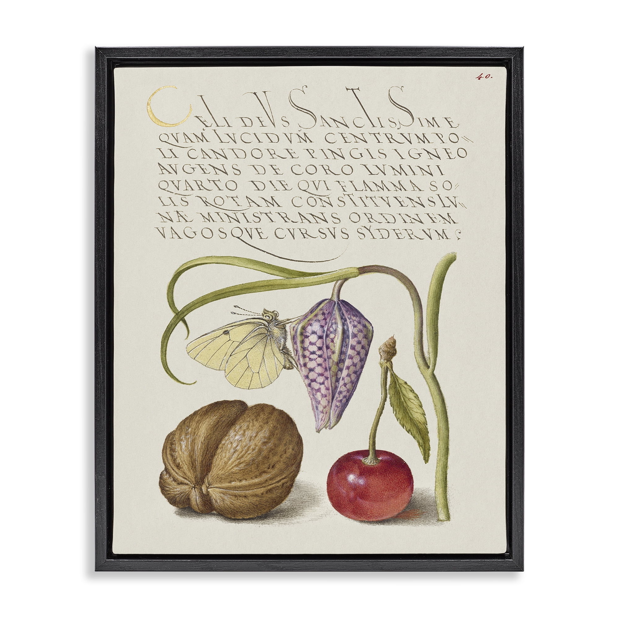 Stupell Industries Woodland Flora Study Text & Numbers Painting Black Floater Framed Canvas Art Print Wall Art, 17 x 21