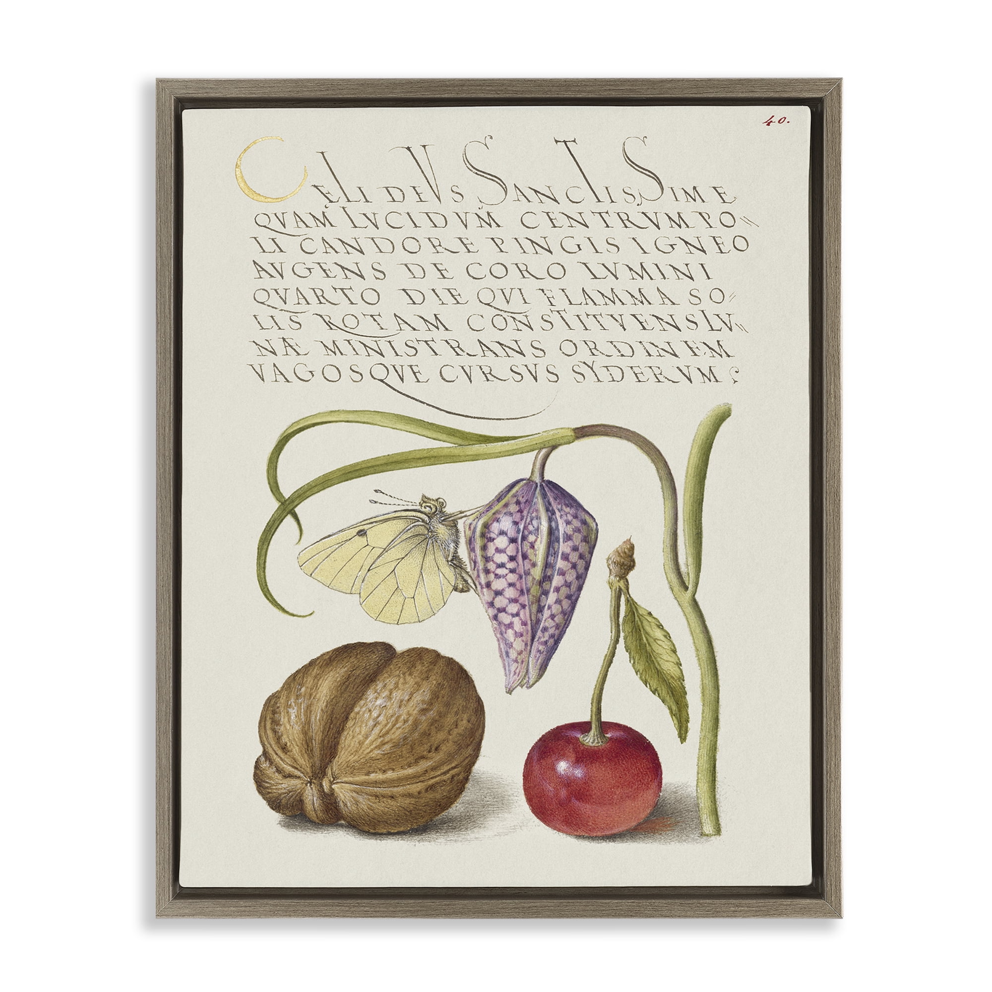 Stupell Industries Woodland Flora Study Text & Numbers Painting Brown Floater Framed Canvas Art Print Wall Art, 17 x 21