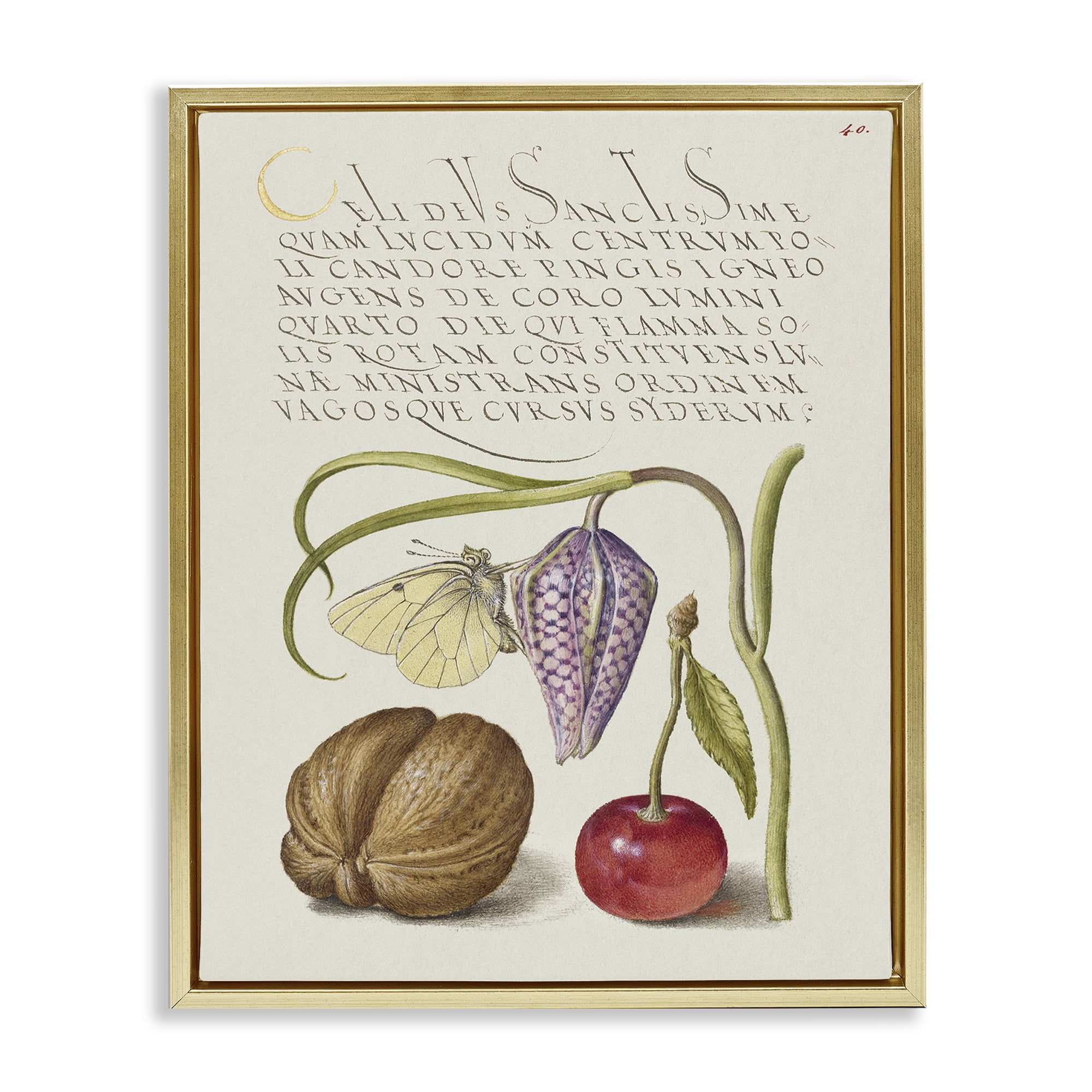 Stupell Industries Woodland Flora Study Text & Numbers Painting Gold Floater Framed Canvas Art Print Wall Art, 17 x 21
