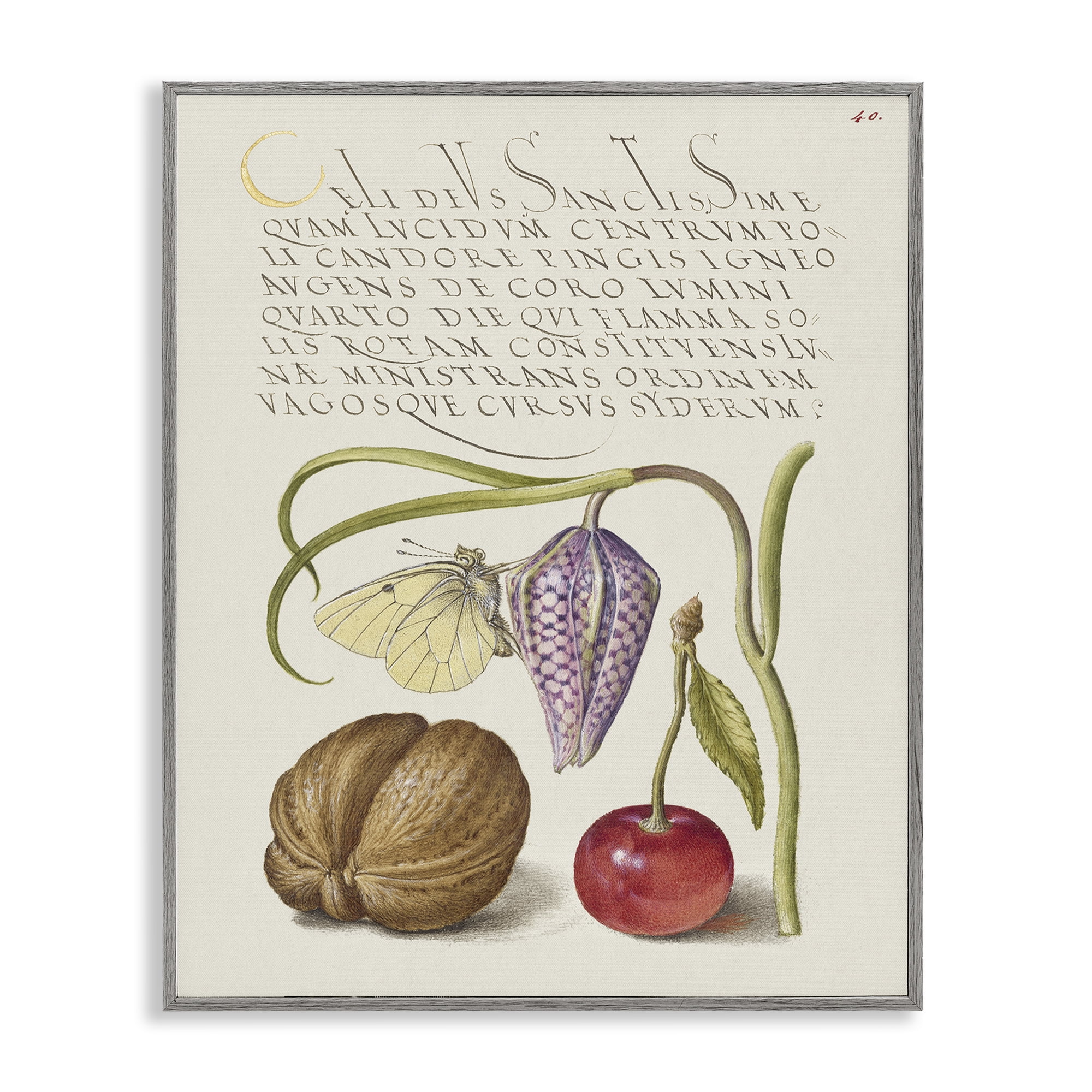 Stupell Industries Woodland Flora Study Text & Numbers Painting Gray Framed Art Print Wall Art, 24 x 30