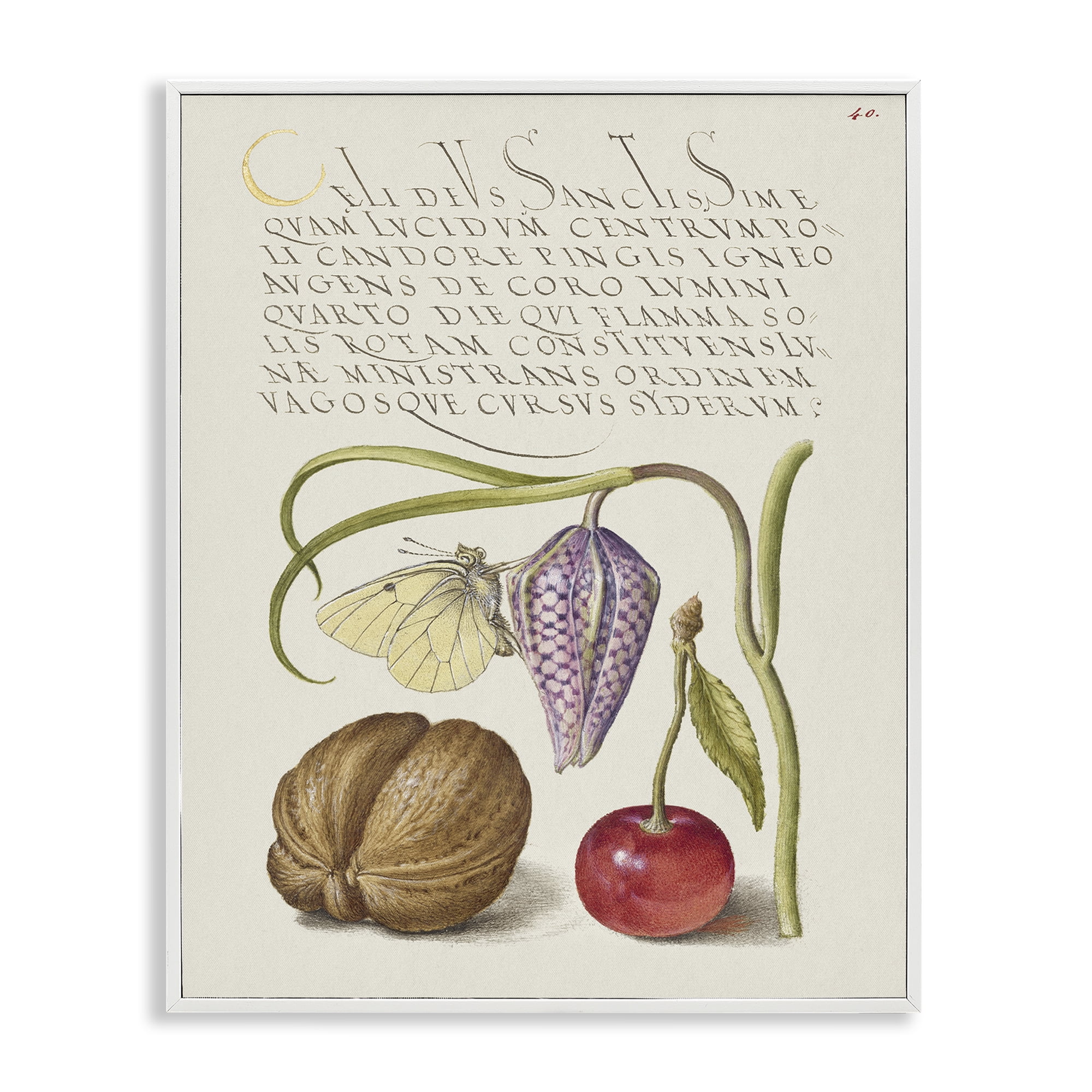 Stupell Industries Woodland Flora Study Text & Numbers Painting White Framed Art Print Wall Art, 16 x 20