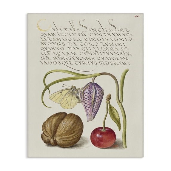 Stupell Industries French Country Woodland Flora Study Canvas Art, 16 x 20, by Melissa Wang