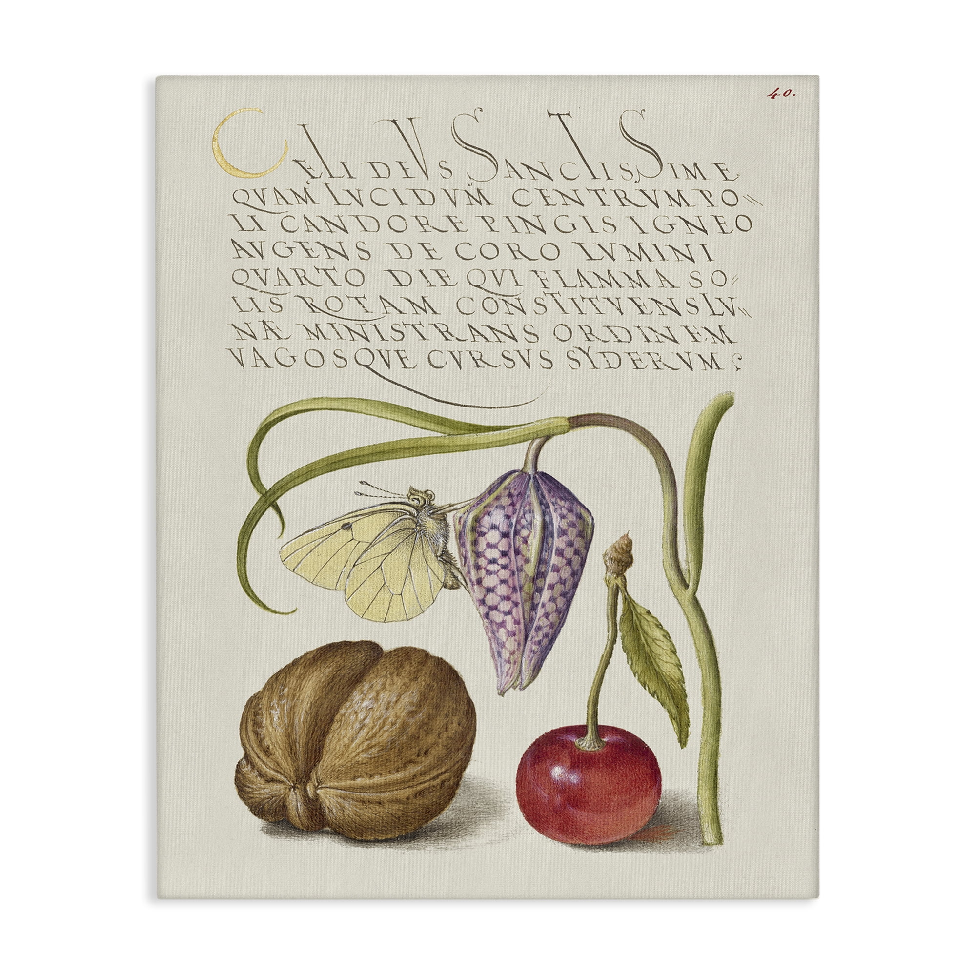Stupell Industries Woodland Flora Study Text & Numbers Painting Wrapped Canvas Art Print Wall Art, 30 x 40