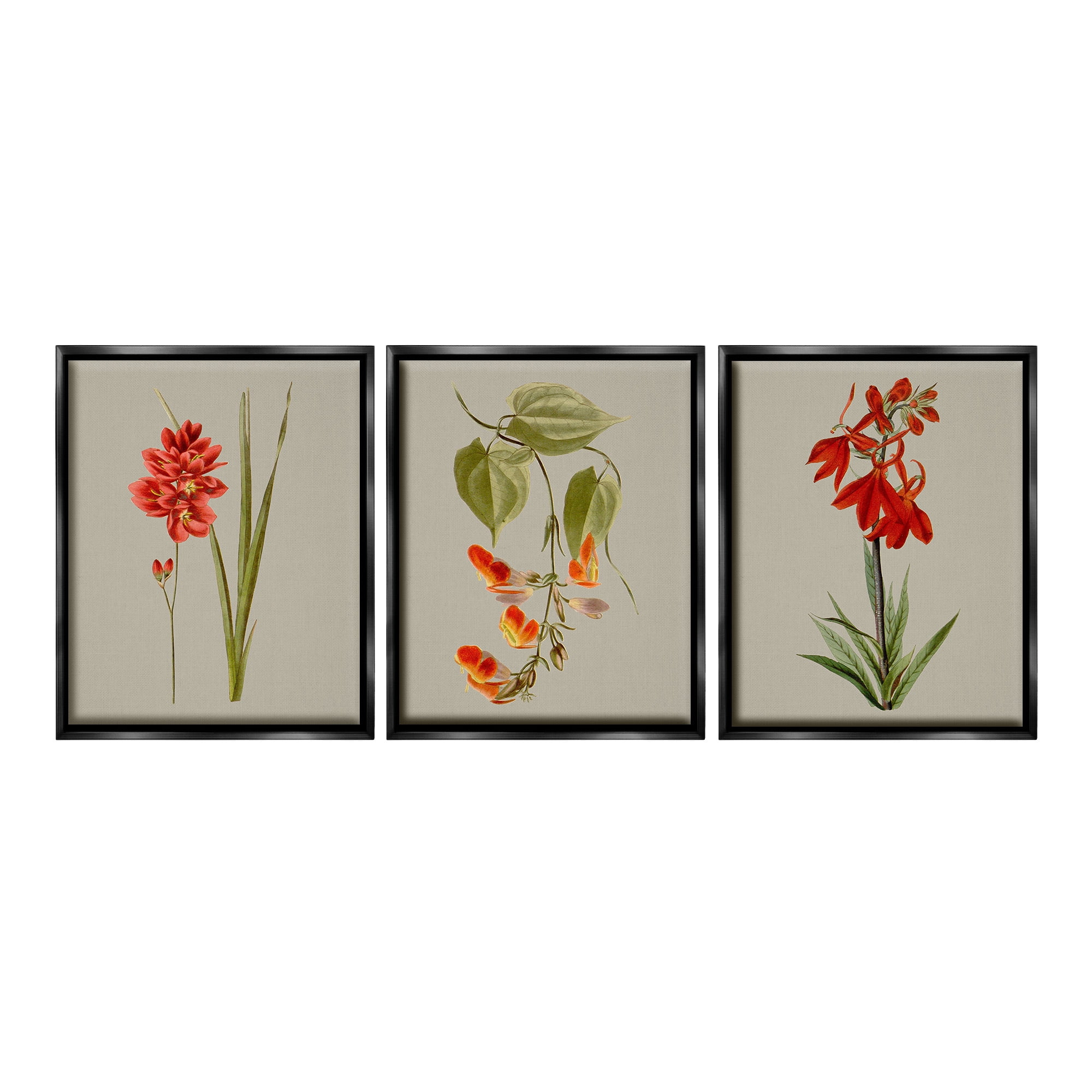 Stupell Industries Woodland Flower Study Botanical & Floral Painting Black Floater Framed Canvas Art Print Wall Art, 25 x 31, Set of 3