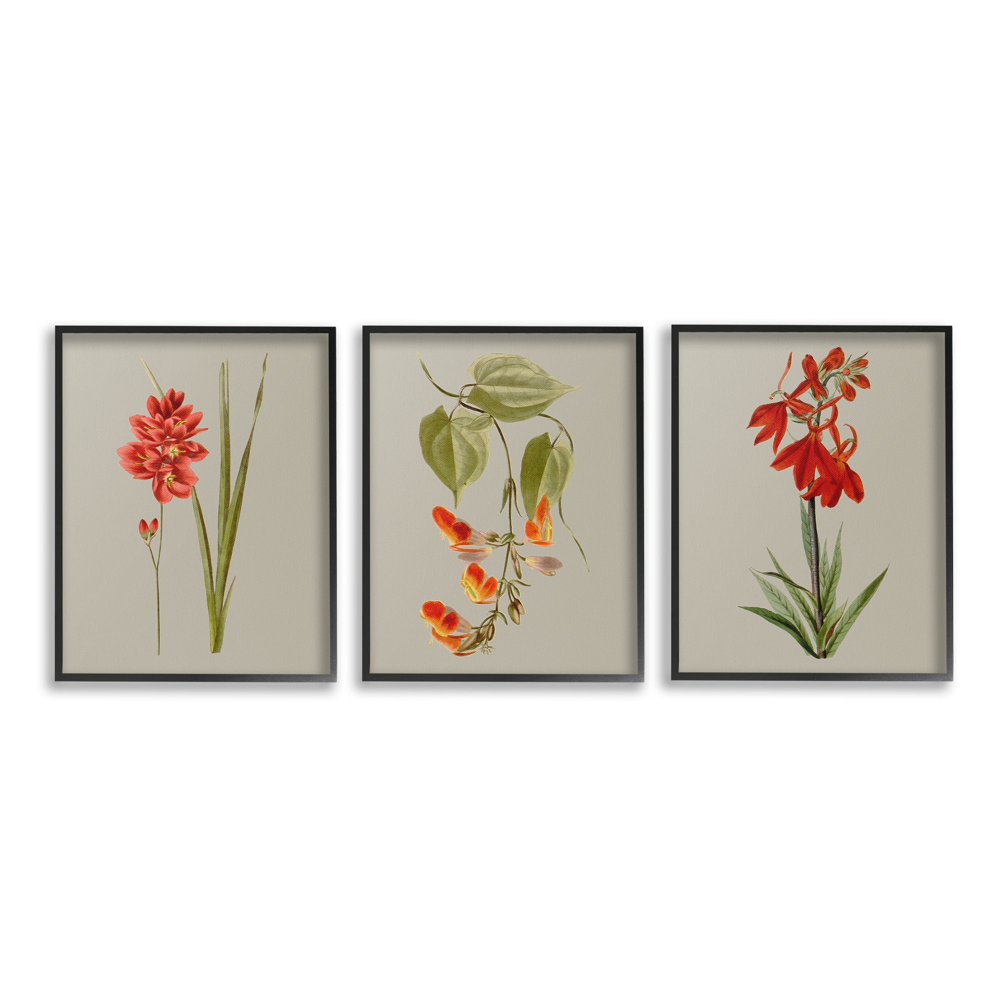 Stupell Industries Woodland Flower Study Botanical & Floral Painting Black Framed Art Print Wall Art, 24 x 30, Set of 3