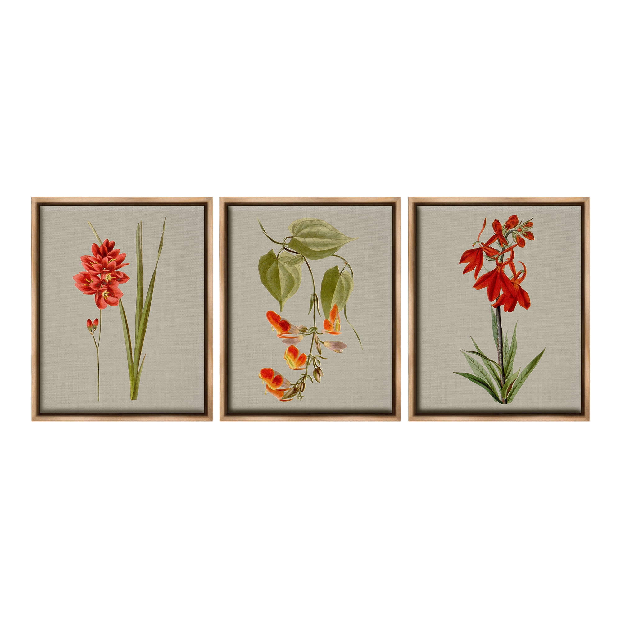 Stupell Industries Woodland Flower Study Botanical & Floral Painting Brown Floater Framed Canvas Art Print Wall Art, 25 x 31, Set of 3