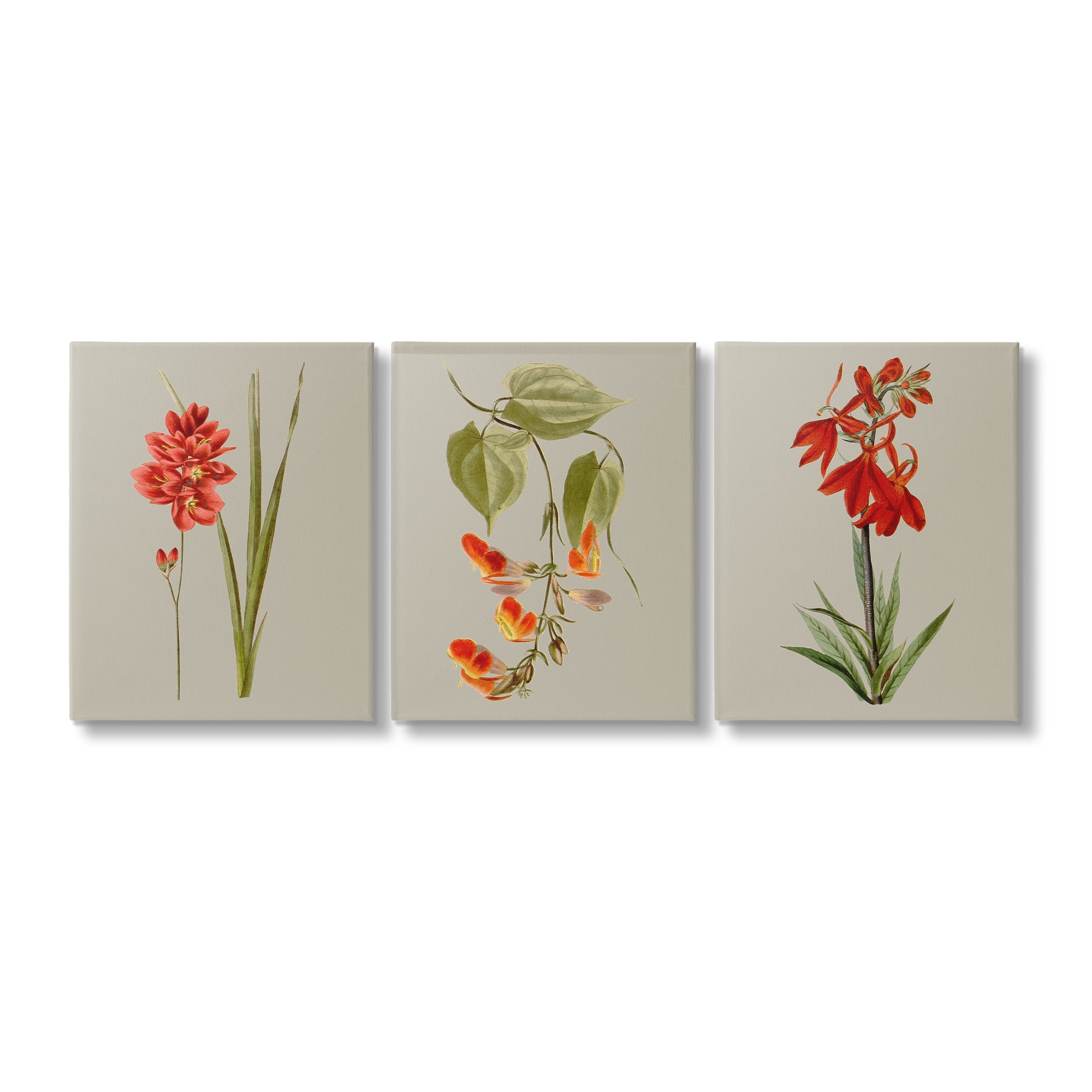 Stupell Industries Woodland Flower Study Botanical & Floral Painting Gallery Wrapped Canvas Art Print Wall Art, 16 x 20, Set of 3