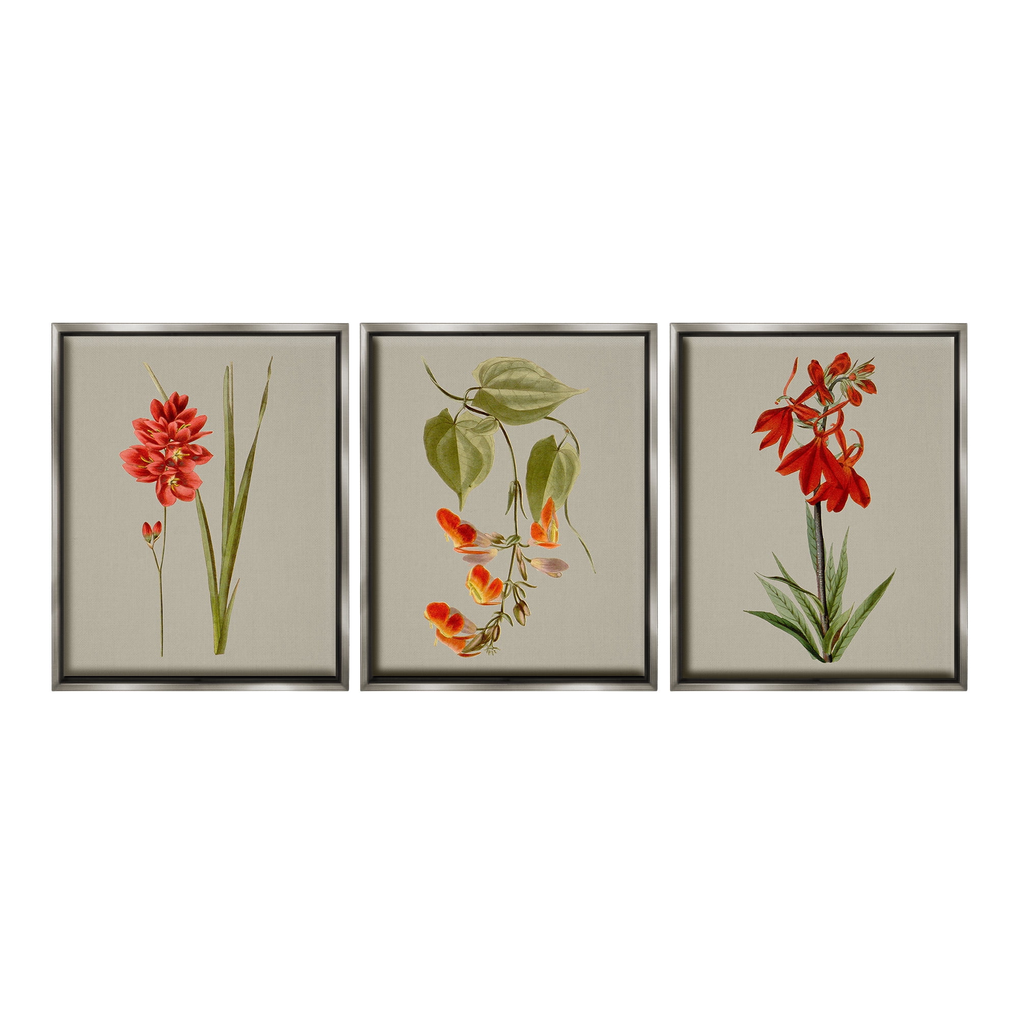 Stupell Industries Woodland Flower Study Botanical & Floral Painting Gray Floater Framed Canvas Art Print Wall Art, 25 x 31, Set of 3