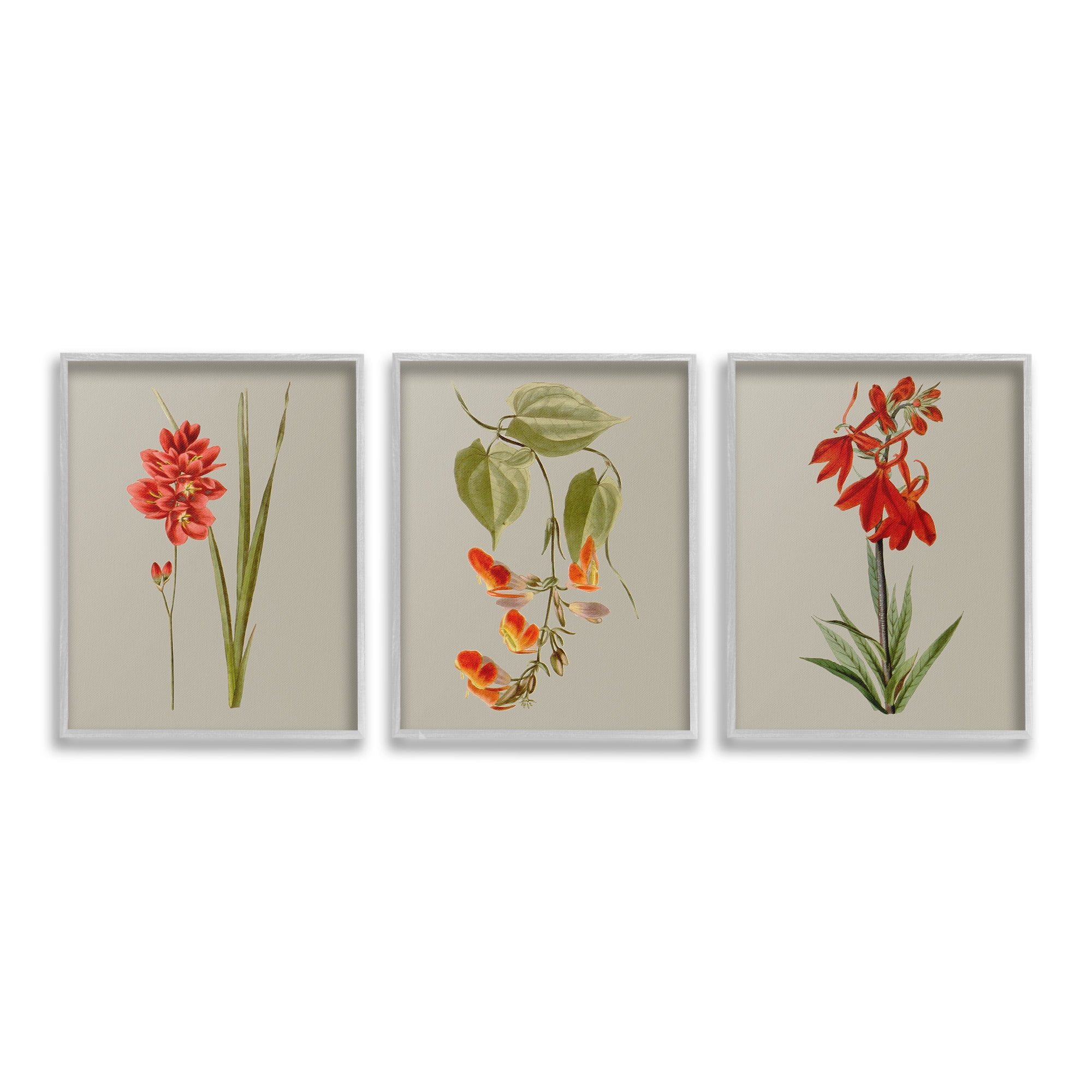 Stupell Industries Woodland Flower Study Botanical & Floral Painting Gray Framed Art Print Wall Art, 24 x 30, Set of 3
