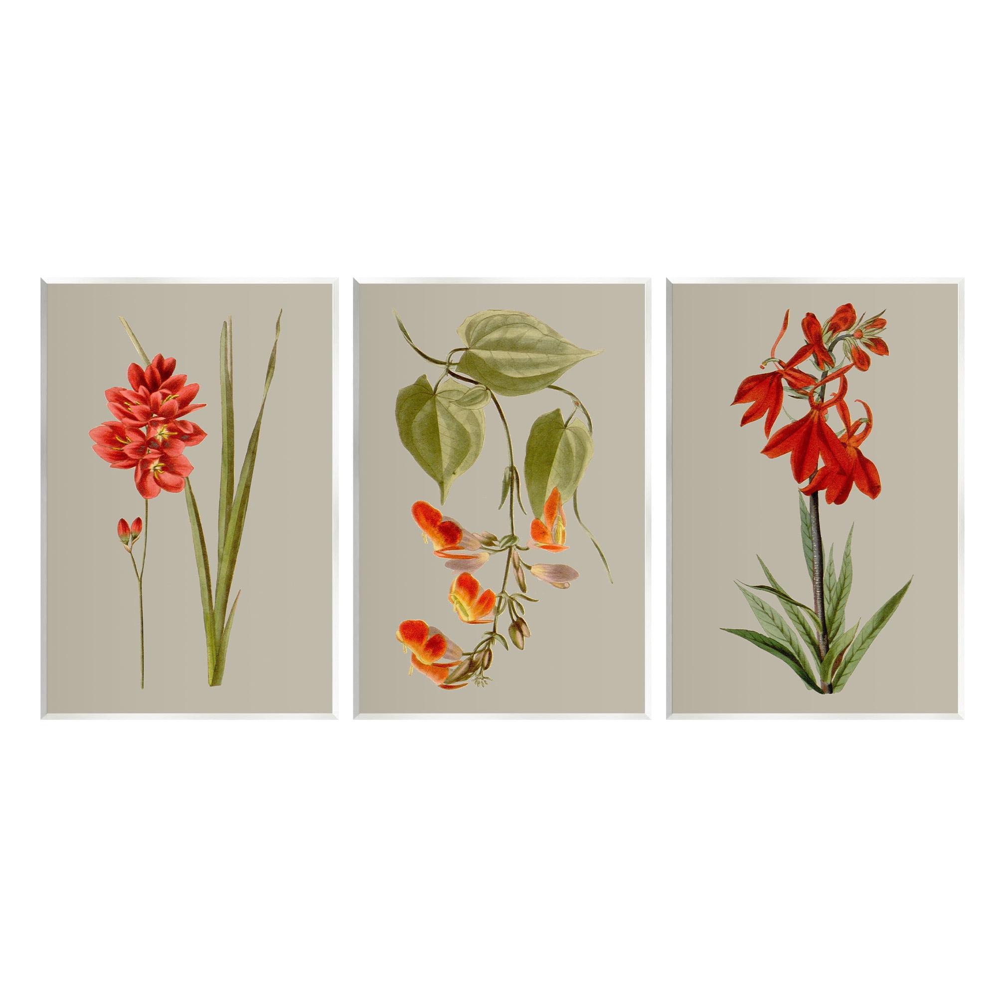 Stupell Industries Woodland Flower Study Botanical & Floral Painting Unframed Art Print Wall Art, 13 x 19, Set of 3