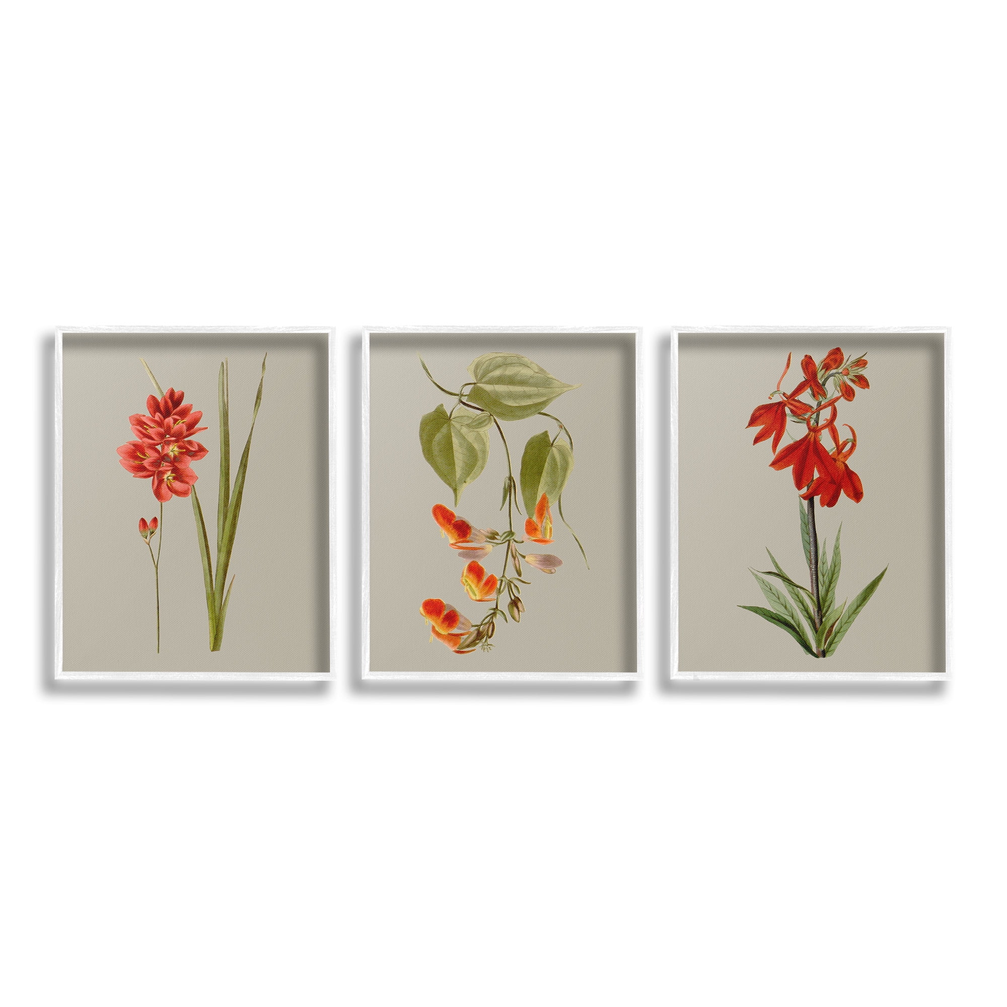 Stupell Industries Woodland Flower Study Botanical & Floral Painting White Framed Art Print Wall Art, 11 x 14, Set of 3