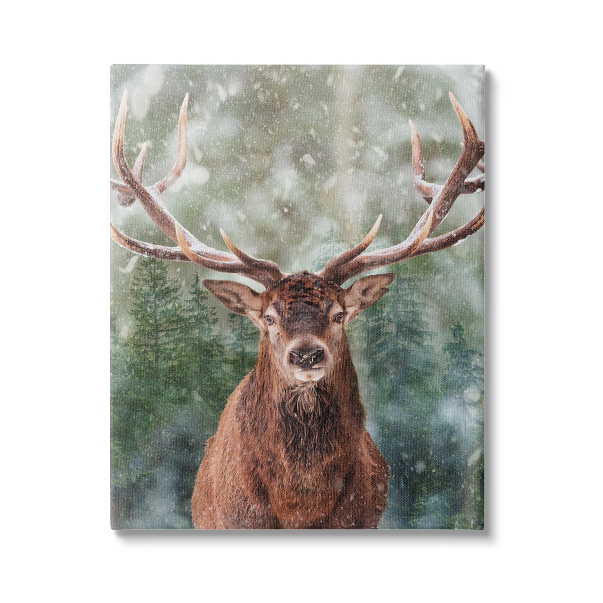 Stupell Industries Woodland Forest Deer Animals & Insects Painting Gallery Wrapped Canvas Art Print Wall Art, 30 x 40