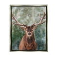 thumbnail image 1 of Stupell Industries Woodland Forest Deer Animals & Insects Painting Gray Floater Framed Canvas Art Print Wall Art, 17 x 21, 1 of 10