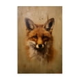 thumbnail image 1 of Stupell Industries Farmhouse Woodland Fox Face Canvas Art, 16 x 24, by Petals Prints Design, 1 of 8