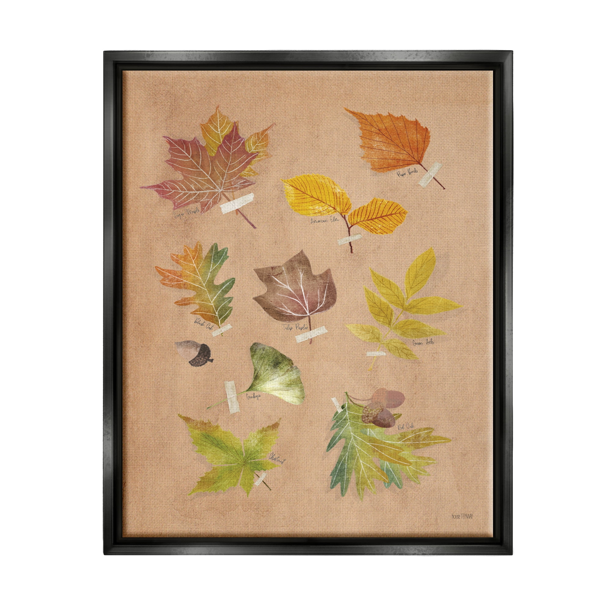 Stupell Industries Woodland Leaf Studies Botanical & Floral Painting Black Floater Framed Art Print Wall Art, 17 x 21