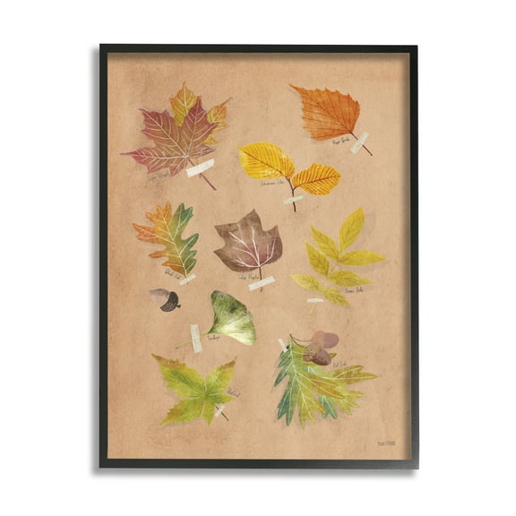 Stupell Industries Woodland Leaf Studies Botanical & Floral Painting Black Framed Art Print Wall Art, 11 x 14
