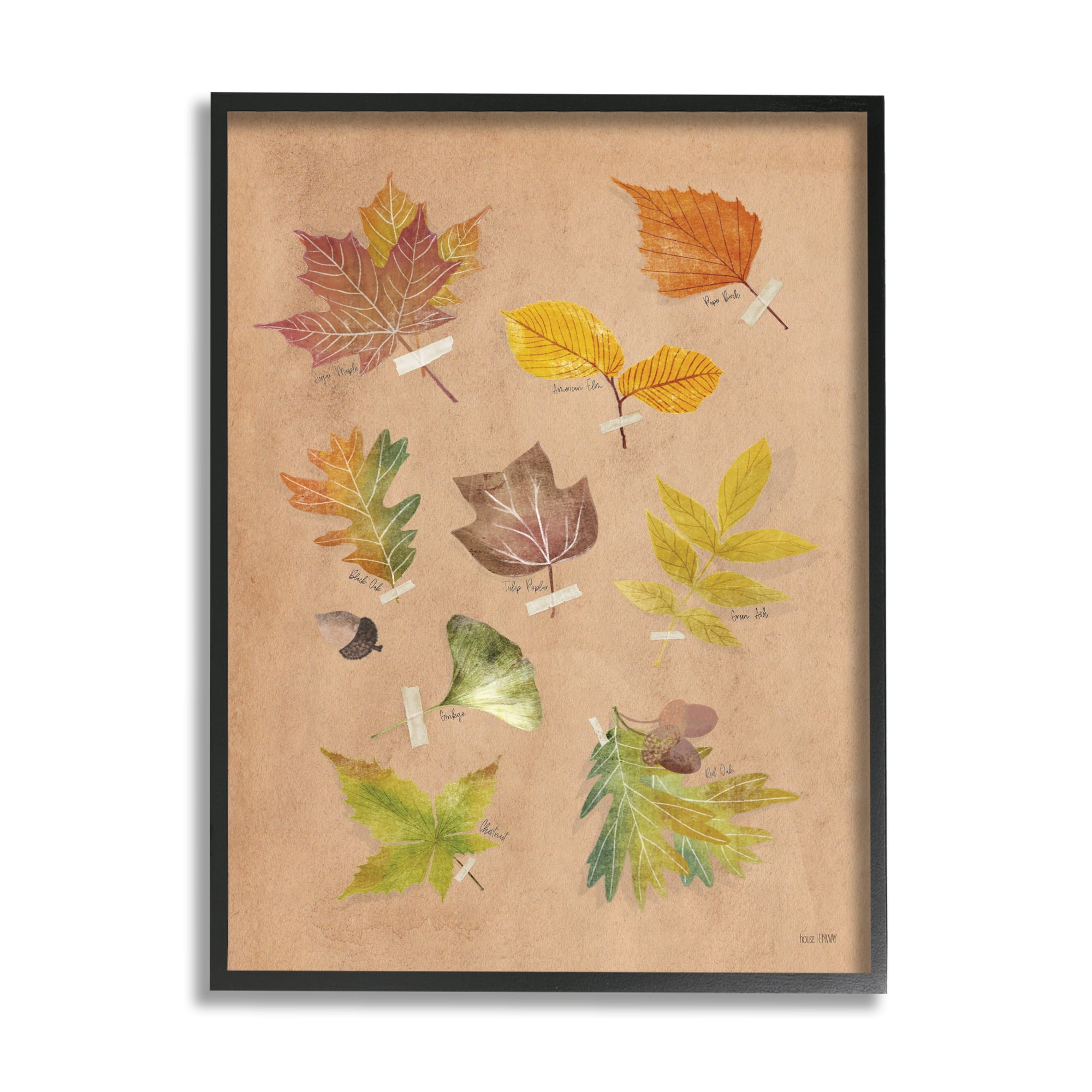Stupell Industries Woodland Leaf Studies Botanical & Floral Painting Black Framed Art Print Wall Art, 16 x 20