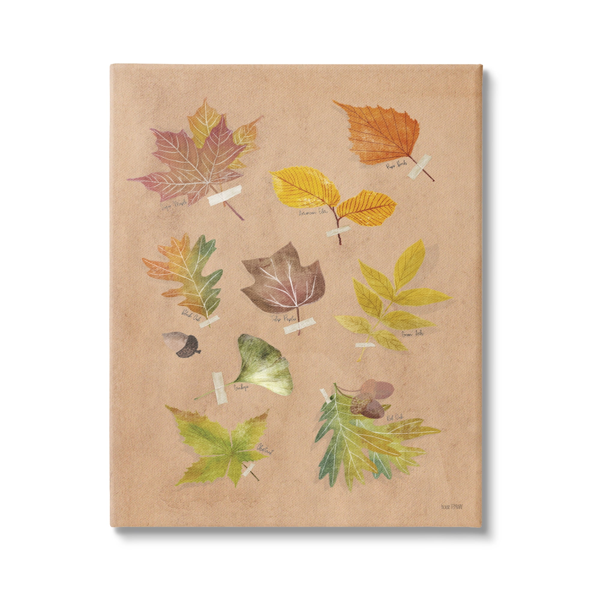 Stupell Industries Woodland Leaf Studies Botanical & Floral Painting Gallery Wrapped Canvas Print Wall Art, 24 x 30