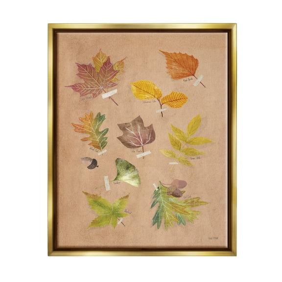 Stupell Industries Woodland Leaf Studies Botanical & Floral Painting Gold Floater Framed Art Print Wall Art, 17 x 21