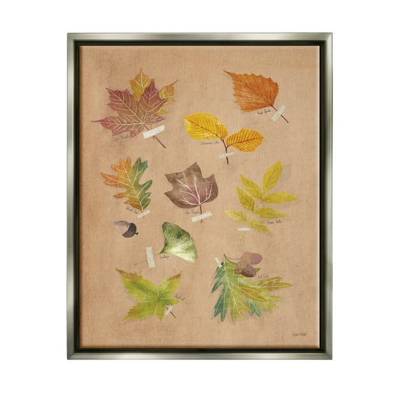 Stupell Industries Woodland Leaf Studies Botanical & Floral Painting Gray Floater Framed Art Print Wall Art, 17 x 21