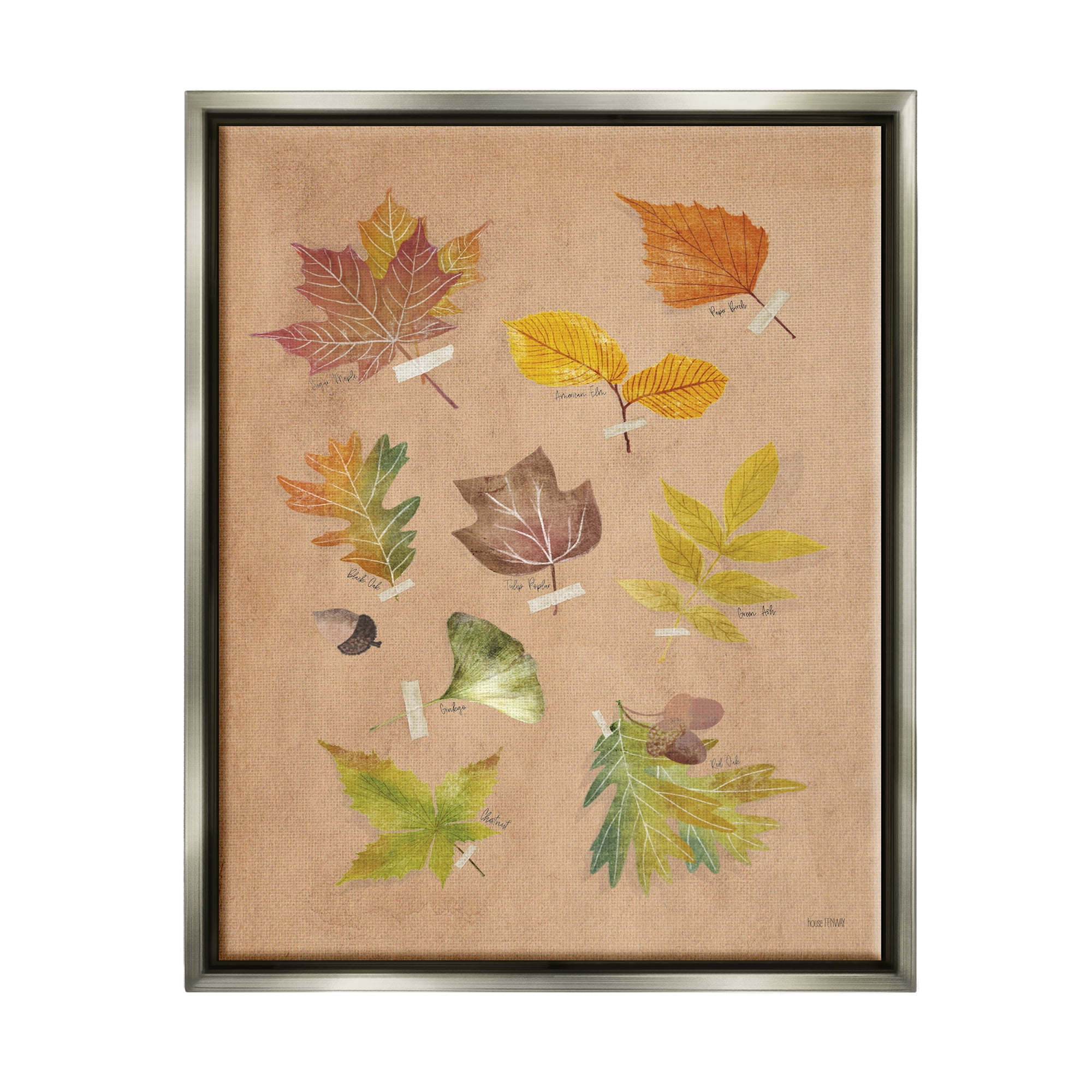 Stupell Industries Woodland Leaf Studies Botanical & Floral Painting Gray Floater Framed Art Print Wall Art, 25 x 31
