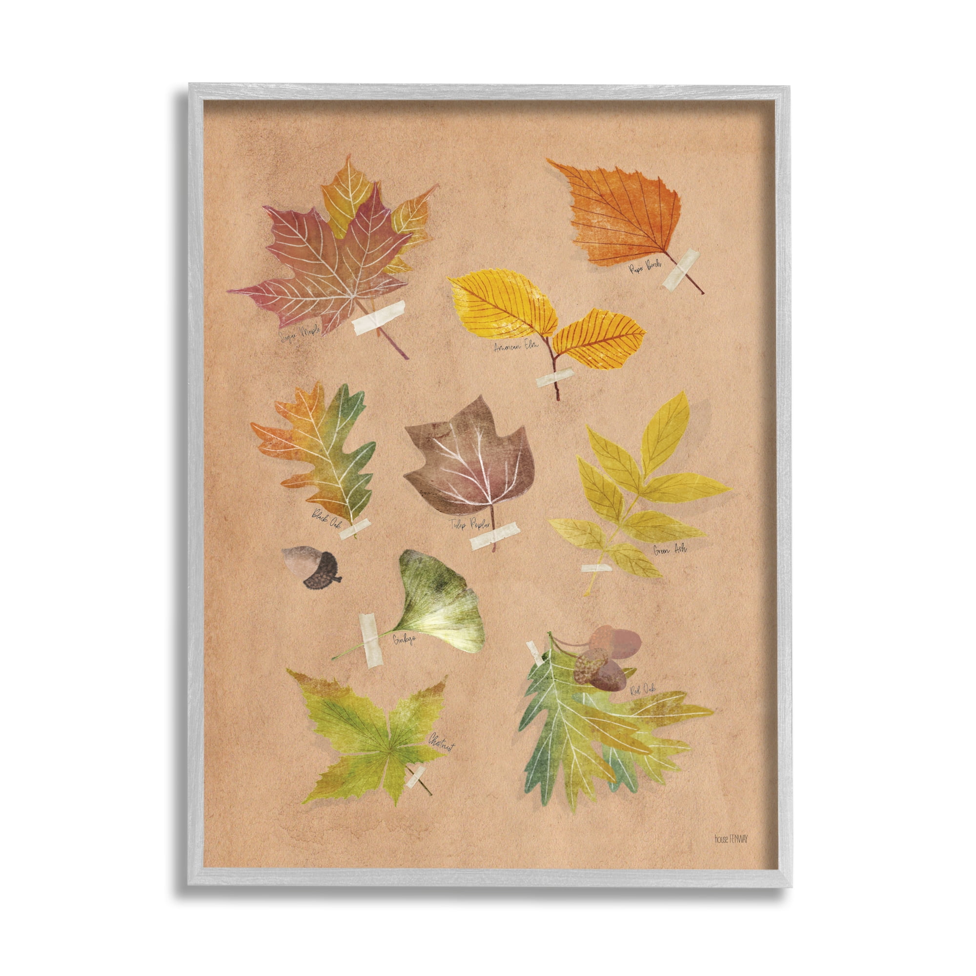 Stupell Industries Woodland Leaf Studies Botanical & Floral Painting Gray Framed Art Print Wall Art, 11 x 14