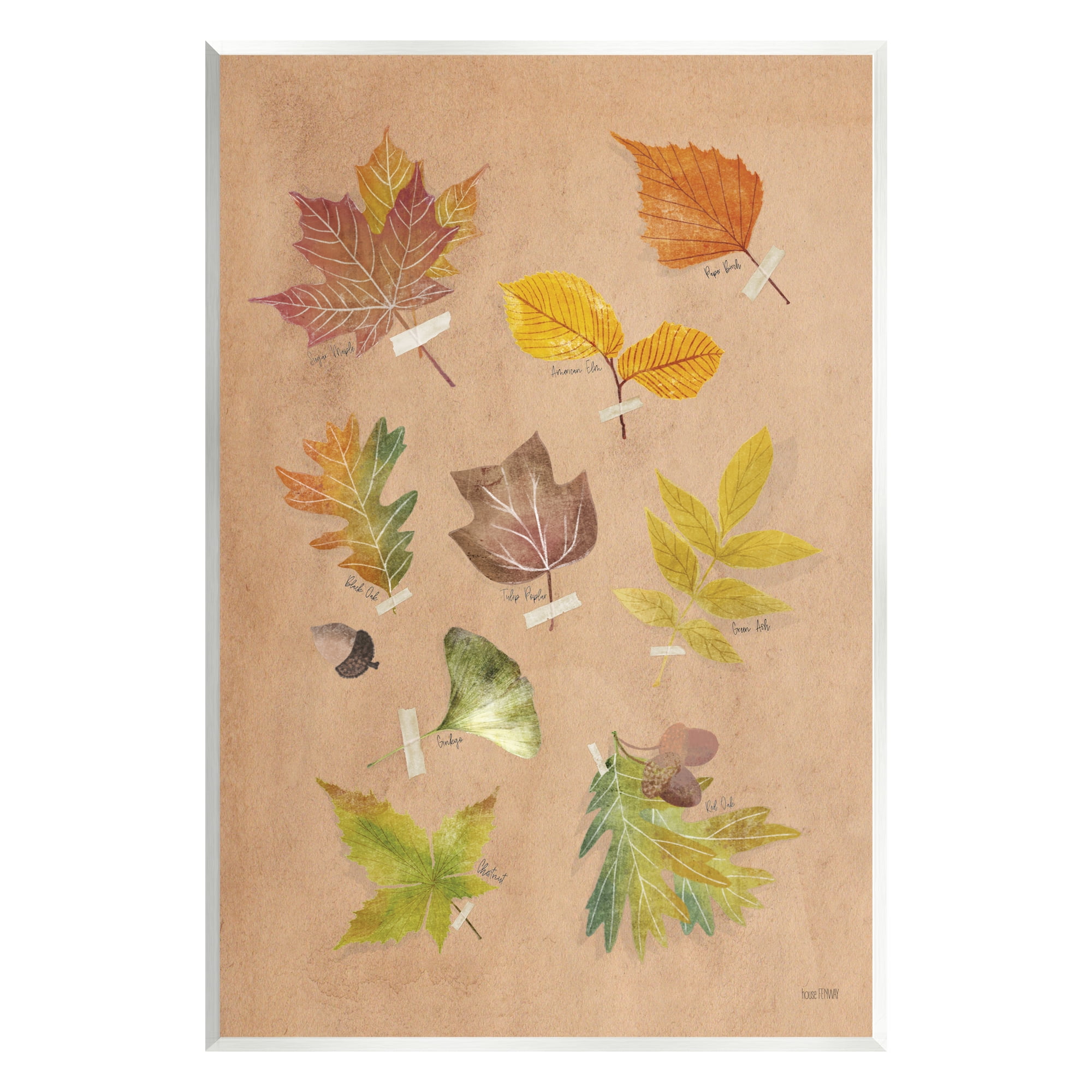 Stupell Industries Woodland Leaf Studies Botanical & Floral Painting Unframed Art Print Wall Art, 10 x 15