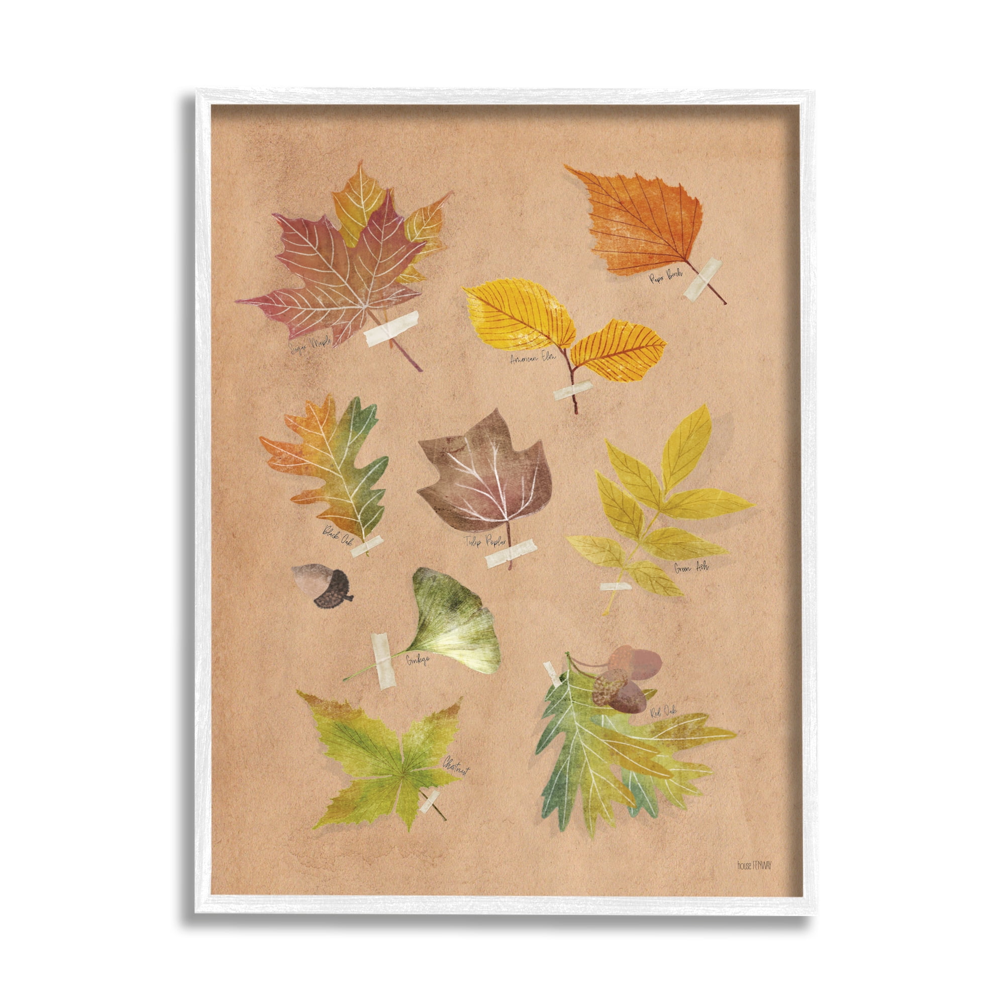 Woodland Leaf Studies Botanical Print on Canvas with White Frame