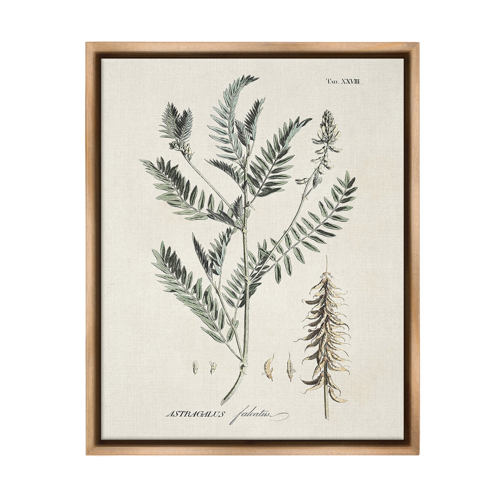 Stupell Industries Woodland Leaf Study Botanical & Floral Painting Brown Floater Framed Canvas Art Print Wall Art, 17 x 21