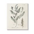 thumbnail image 1 of Stupell Industries Woodland Leaf Study Botanical & Floral Painting Gallery Wrapped Canvas Art Print Wall Art, 30 x 40, 1 of 8