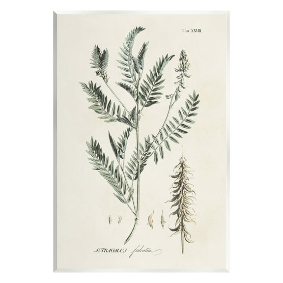 Stupell Industries Woodland Leaf Study Botanical & Floral Painting Unframed Art Print Wall Art, 10 x 15