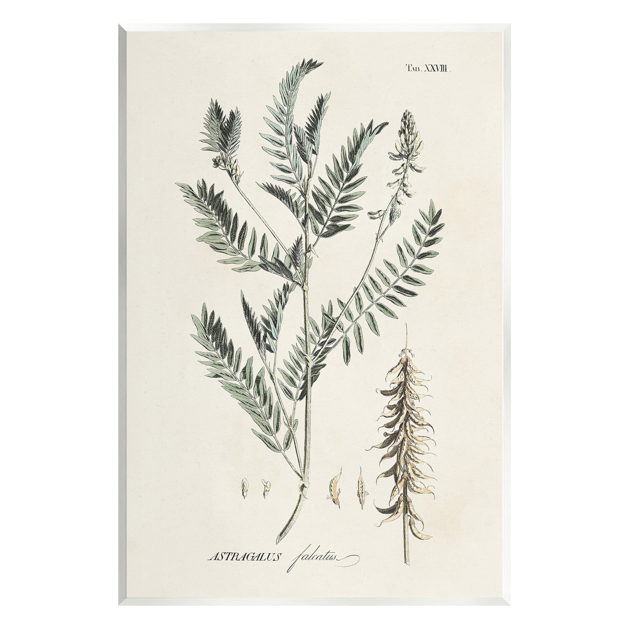 Stupell Industries Woodland Leaf Study Botanical & Floral Painting Unframed Art Print Wall Art, 13 x 19