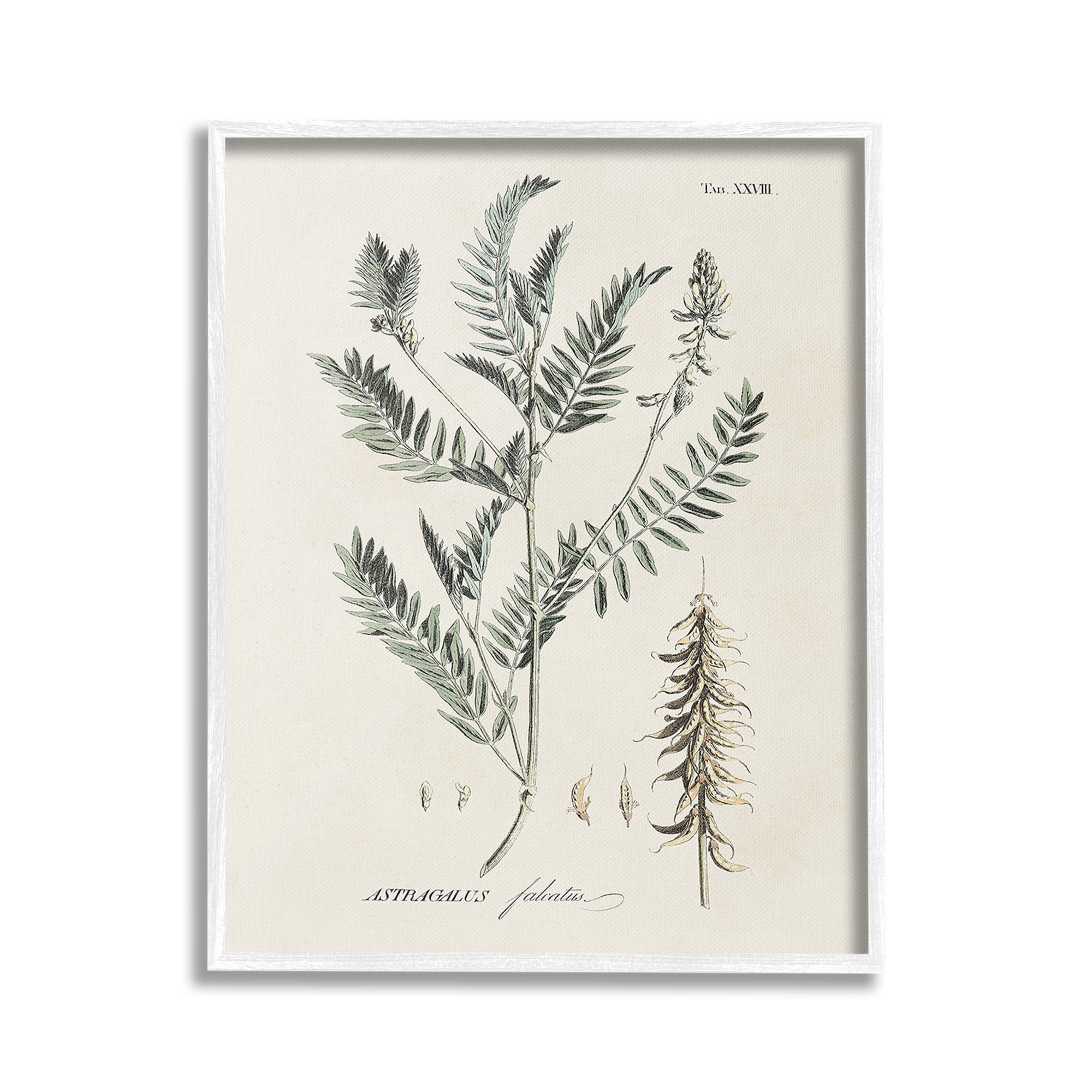 Stupell Industries Woodland Leaf Study Botanical & Floral Painting White Framed Art Print Wall Art, 16 x 20