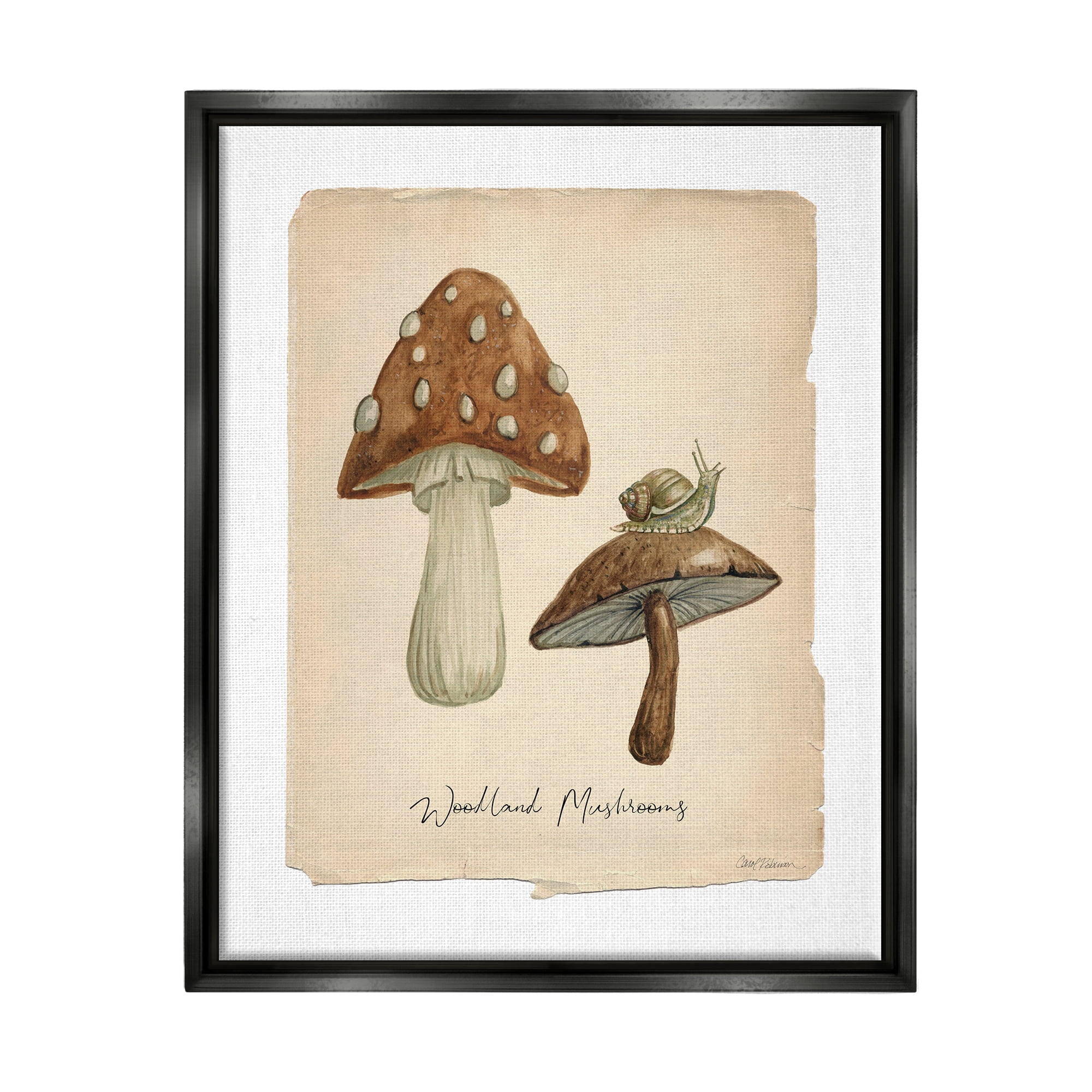Stupell Industries Woodland Mushrooms & Snail Botanical & Floral Painting Black Floater Framed Canvas Art Print Wall Art, 17 x 21