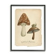thumbnail image 1 of Stupell Industries Woodland Mushrooms & Snail Botanical & Floral Painting Black Framed Art Print Wall Art, 16 x 20, 1 of 9