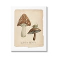 thumbnail image 1 of Stupell Industries Woodland Mushrooms & Snail Botanical & Floral Painting Gallery Wrapped Canvas Art Print Wall Art, 36 x 48, 1 of 8