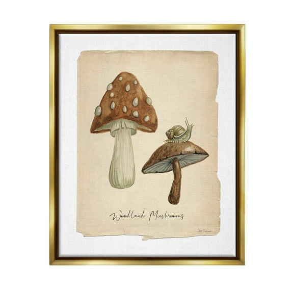 Stupell Industries Woodland Mushrooms & Snail Botanical & Floral Painting Gold Floater Framed Canvas Art Print Wall Art, 17 x 21
