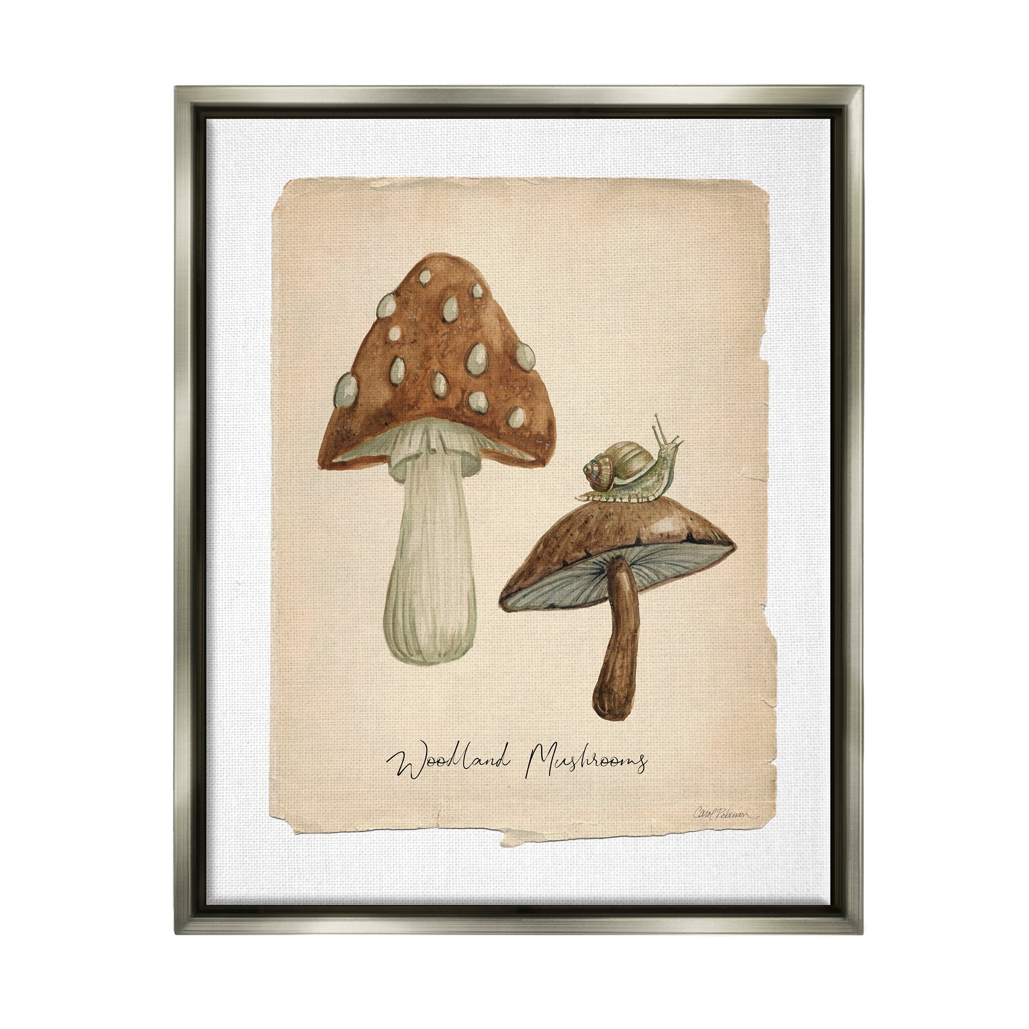 Stupell Industries Woodland Mushrooms & Snail Botanical & Floral Painting Gray Floater Framed Canvas Art Print Wall Art, 25 x 31